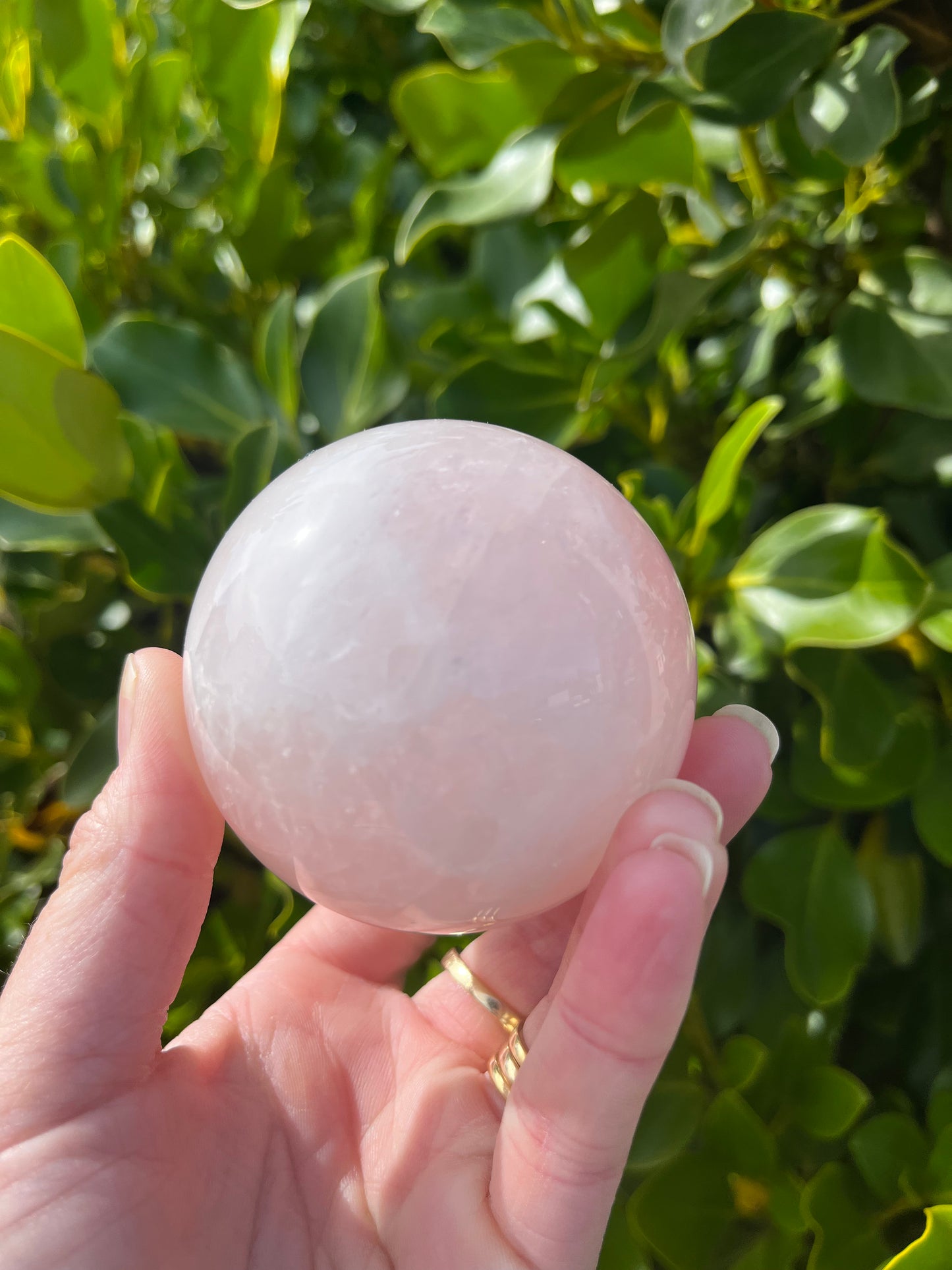 Rose Quartz Sphere (447g)