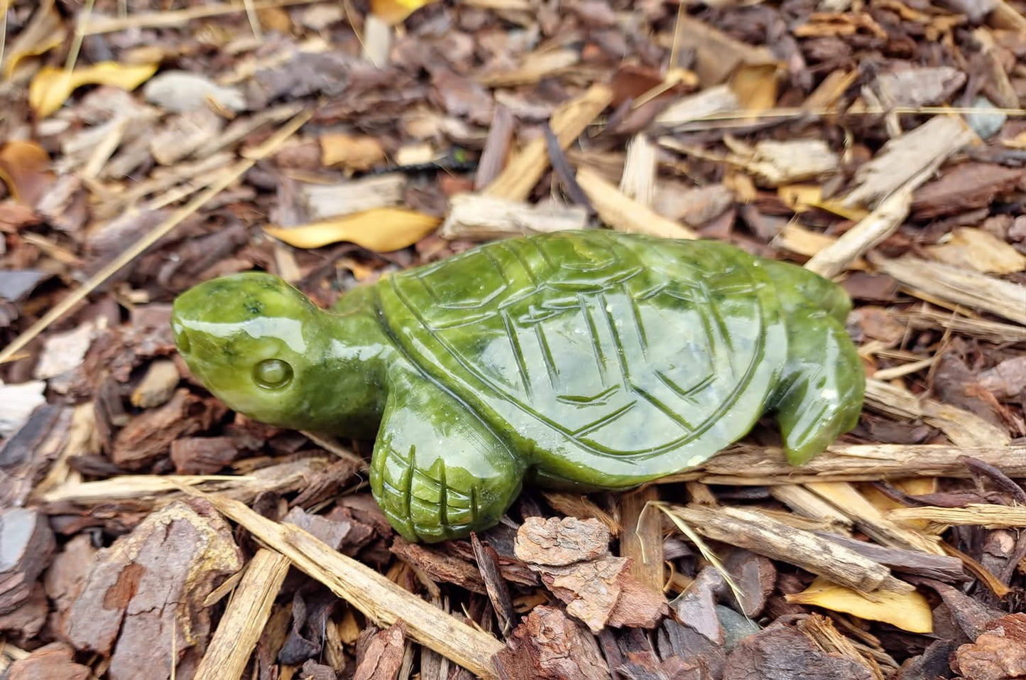 Jade Turtle (587g)