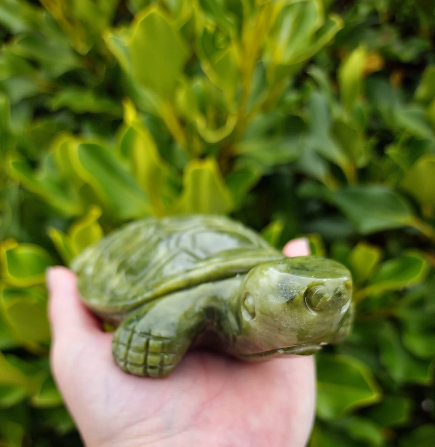 Jade Turtle (587g)