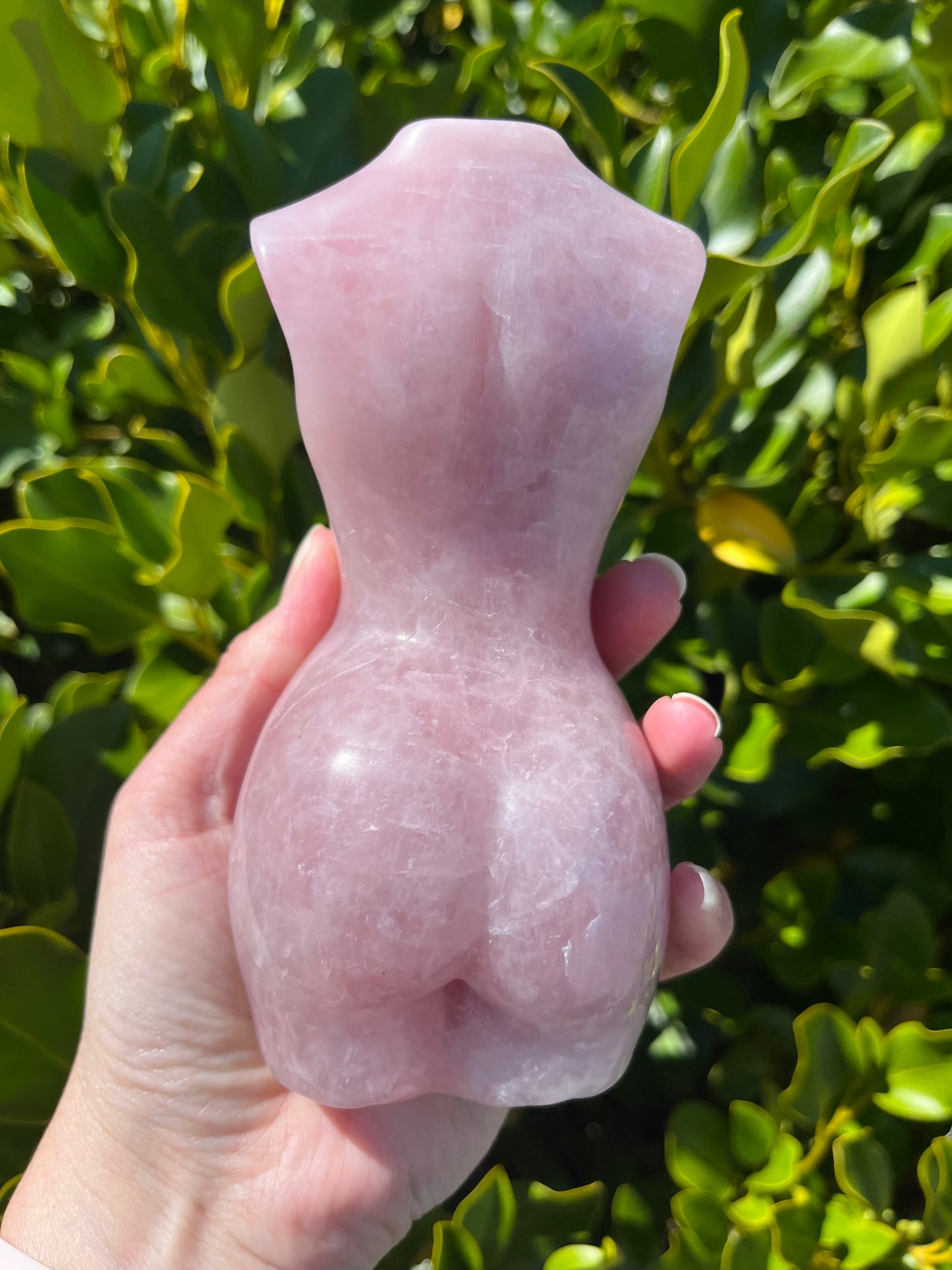 Rose Quartz Body (894g)