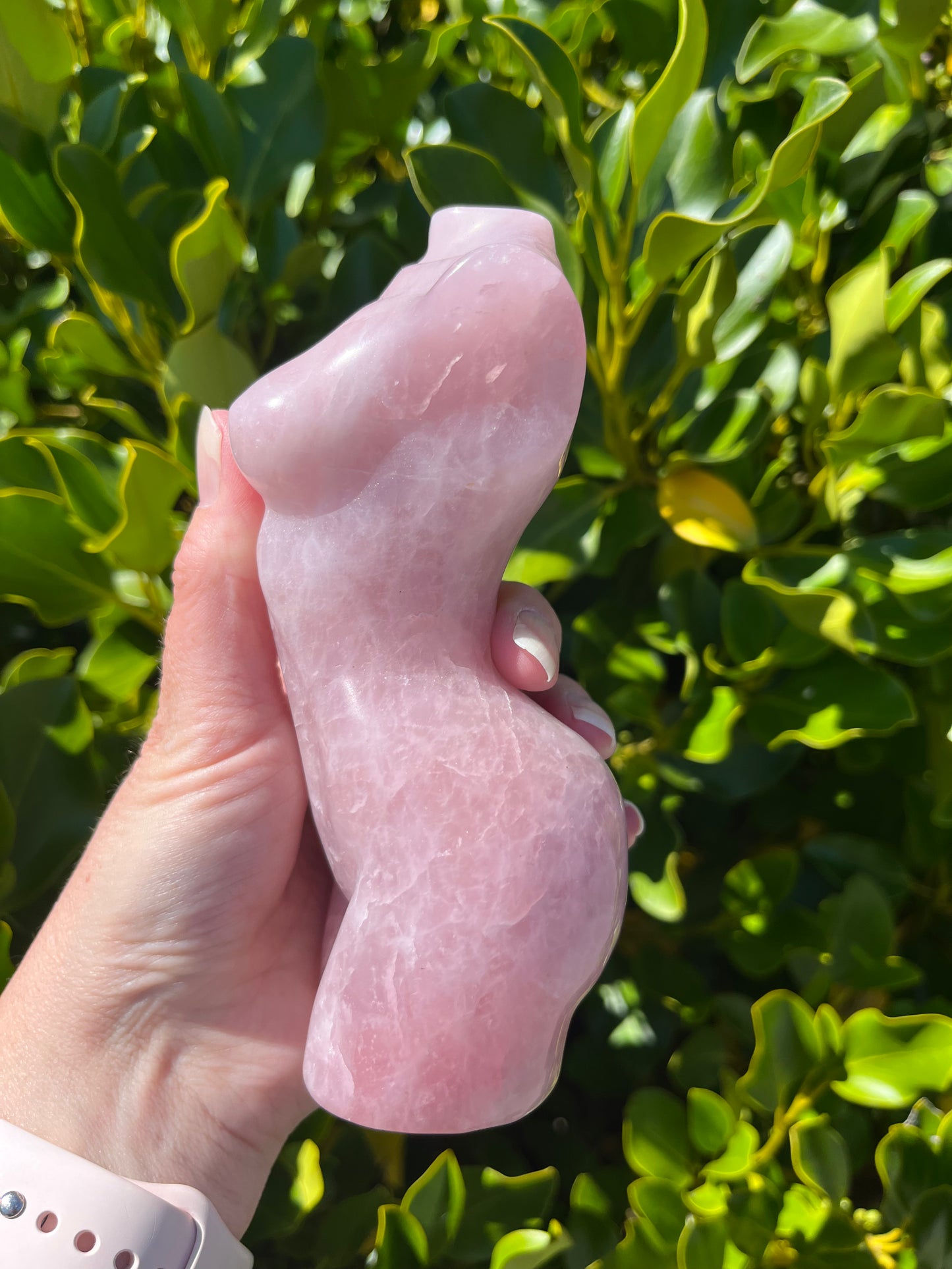 Rose Quartz Body (894g)