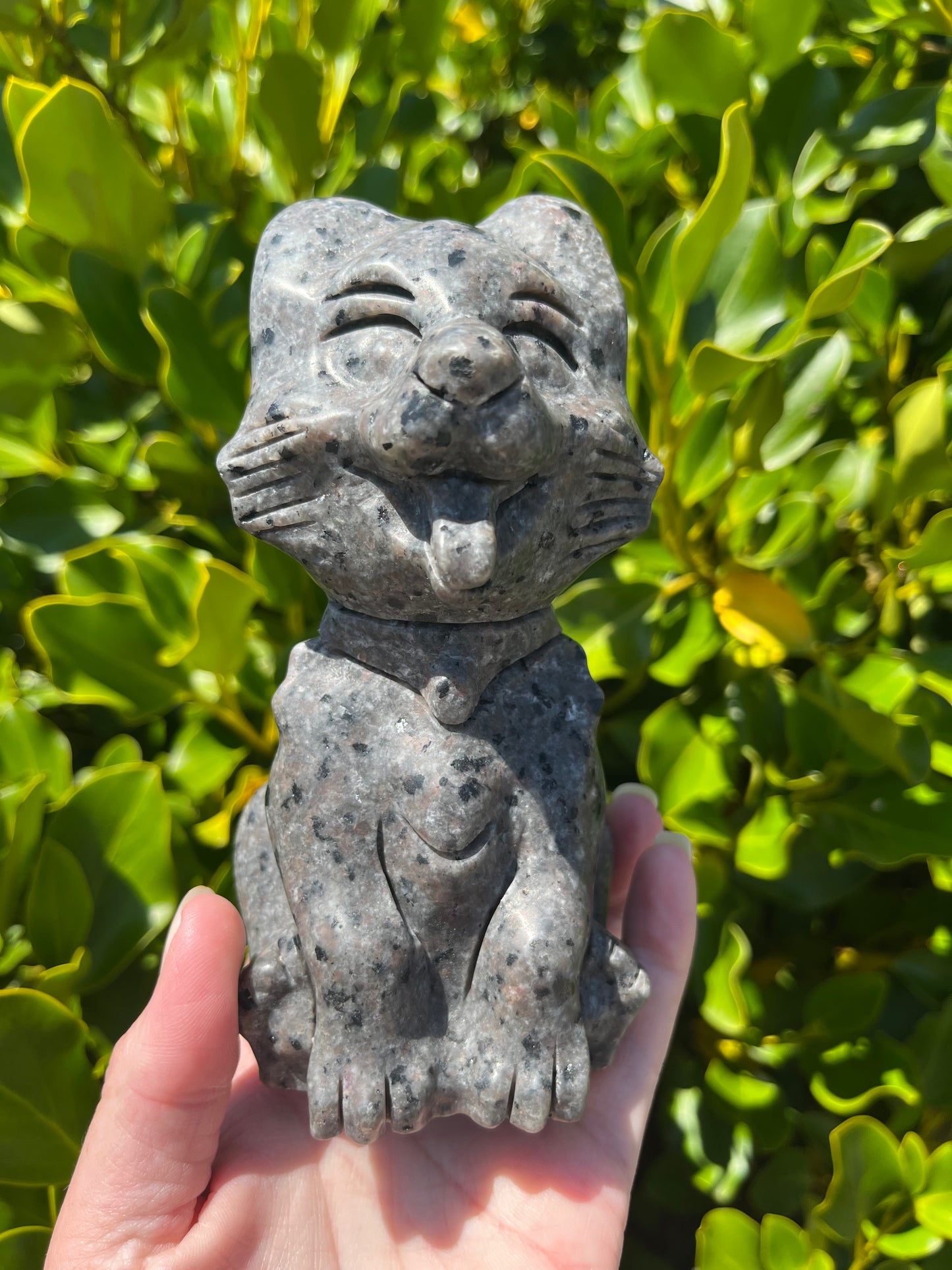 Yooperlite Dog (880g)