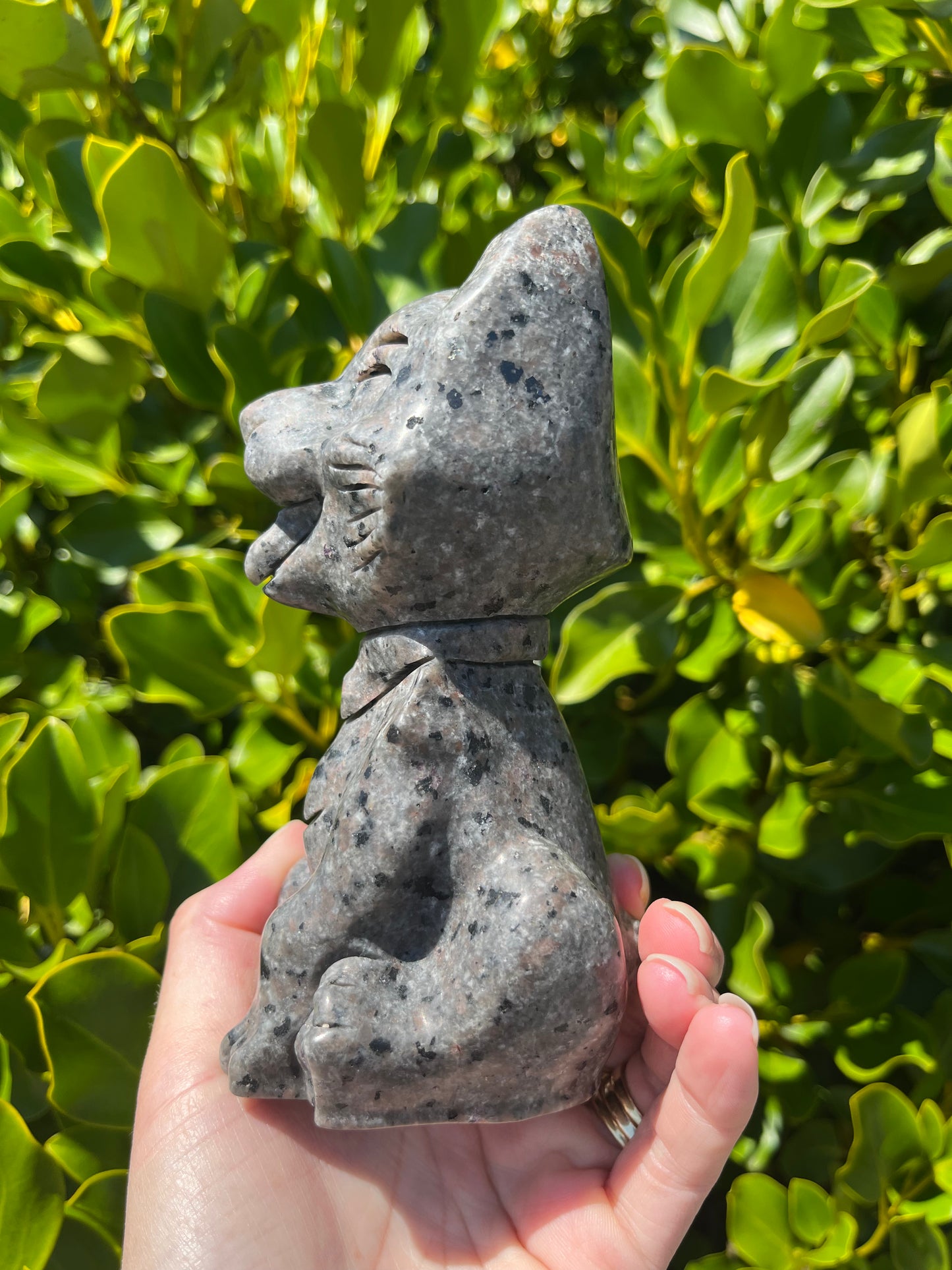 Yooperlite Dog (880g)