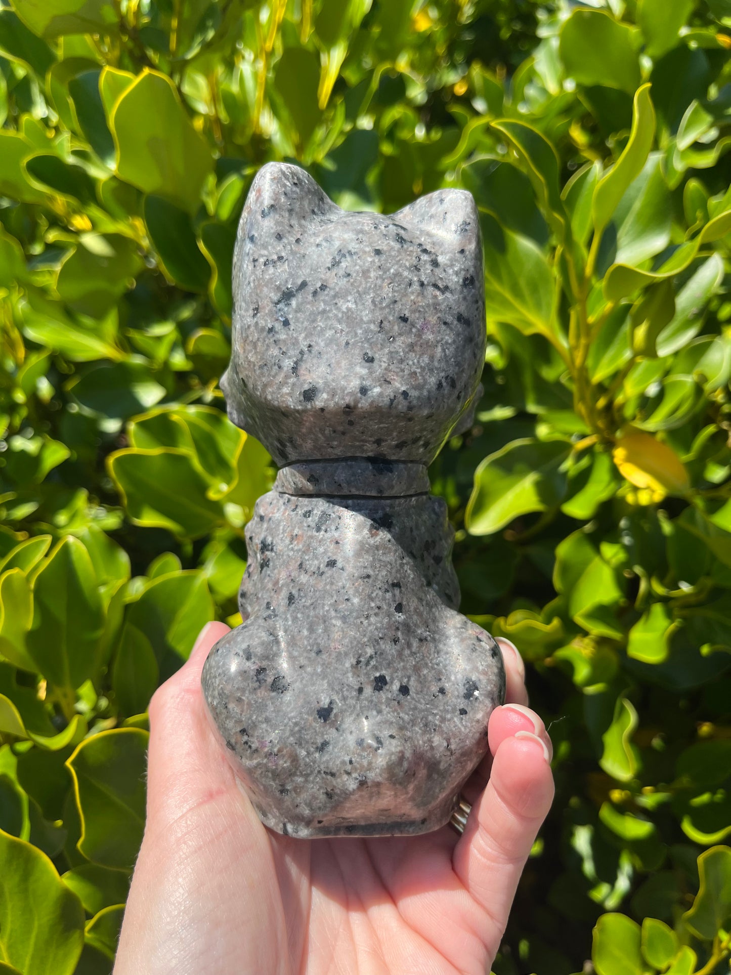 Yooperlite Dog (880g)