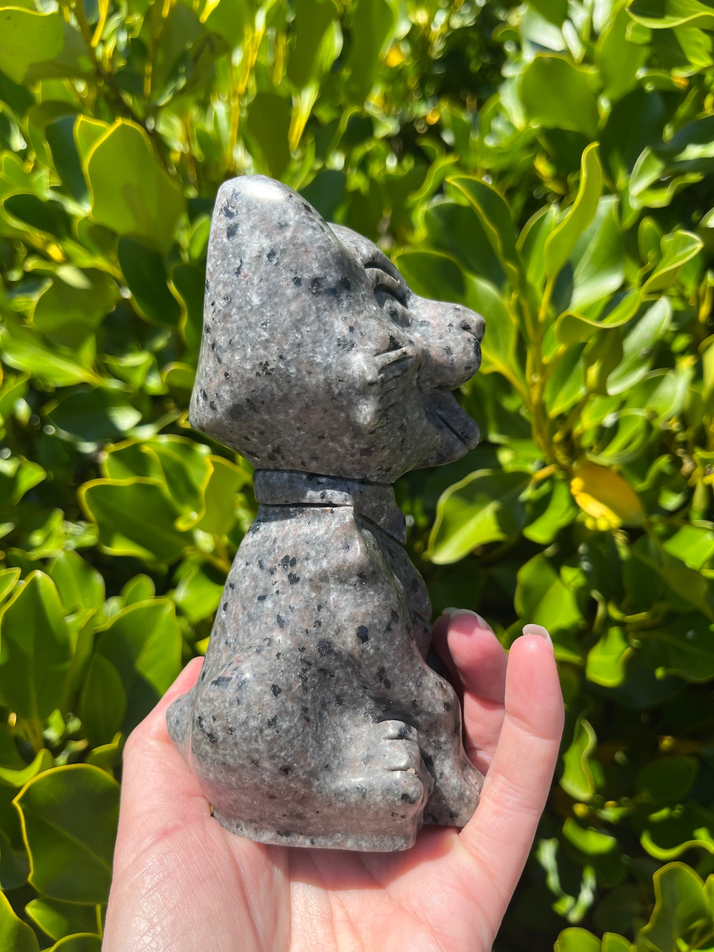 Yooperlite Dog (880g)