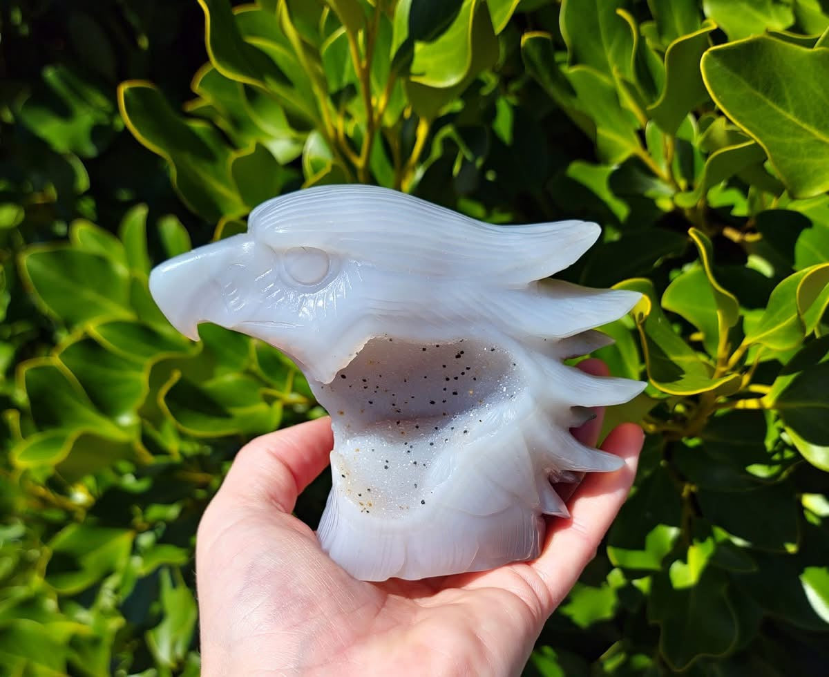 Agate Eagle Head (529g)