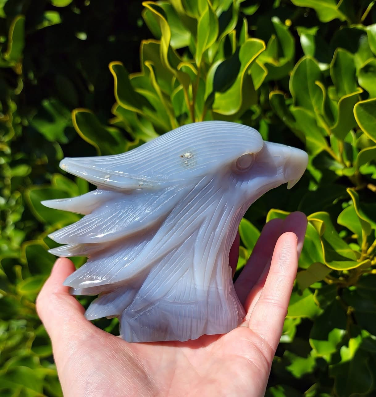 Agate Eagle Head (529g)