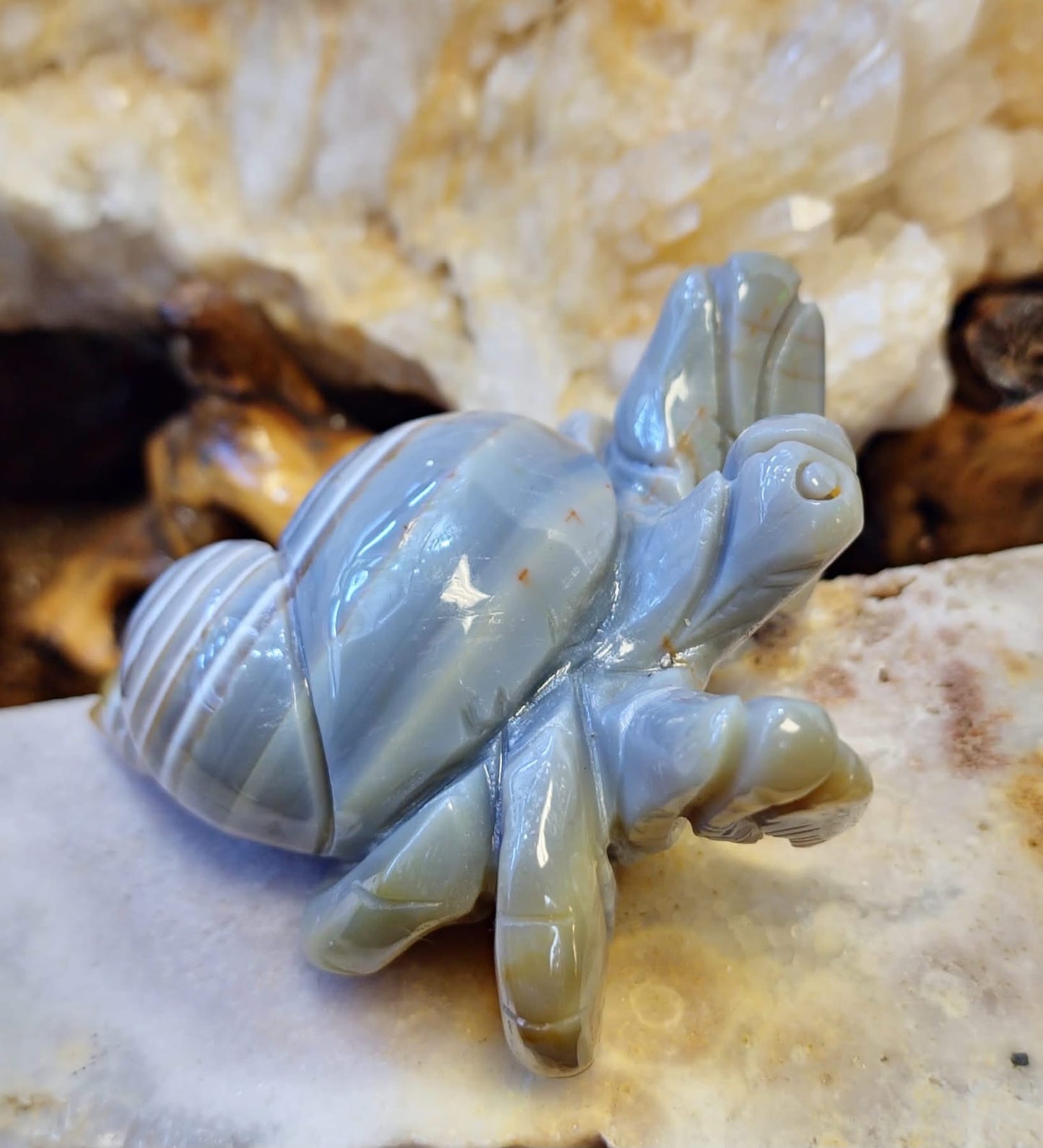 Agate Crab (262g)