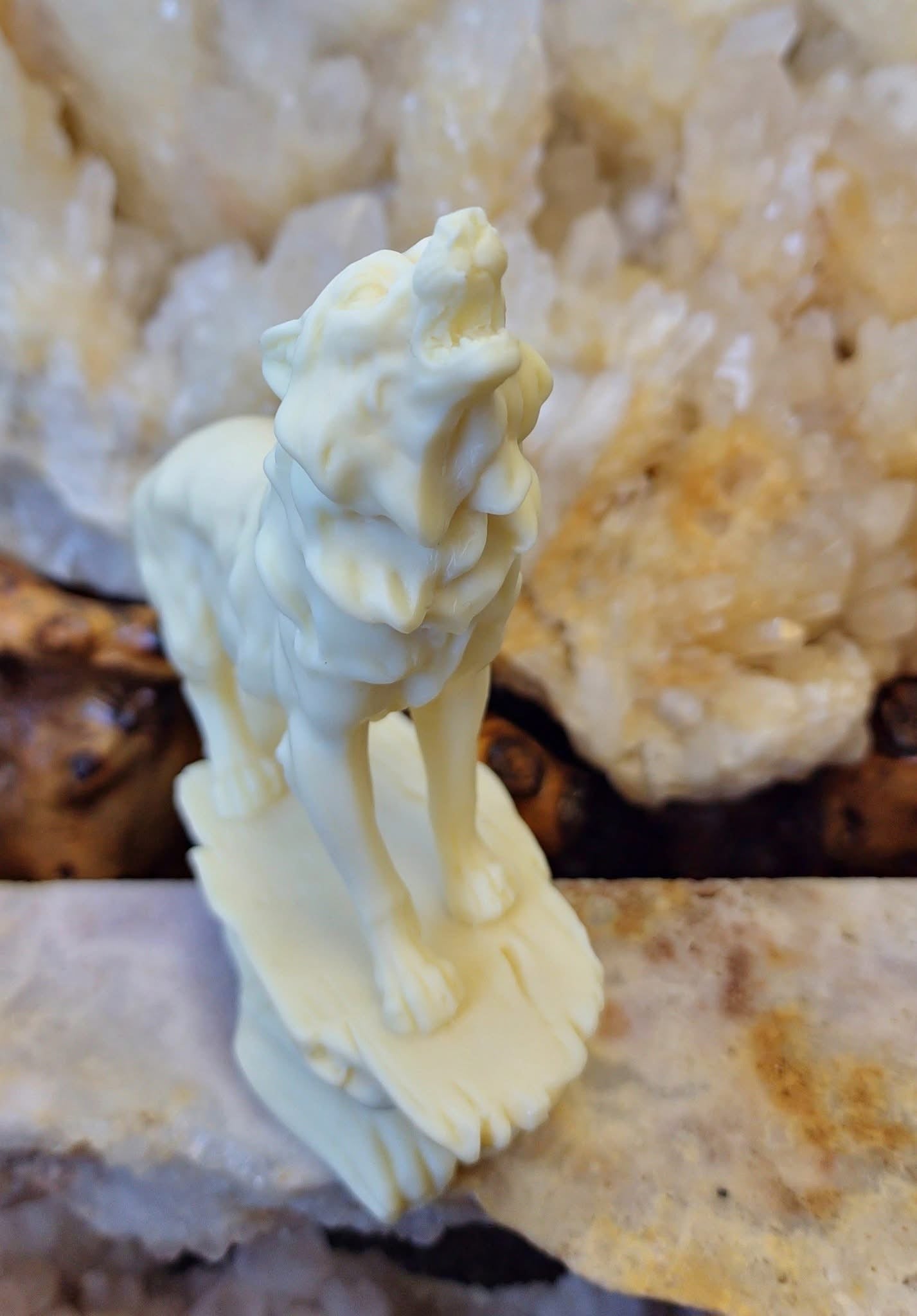 Ivory Nut Wolf (411g)