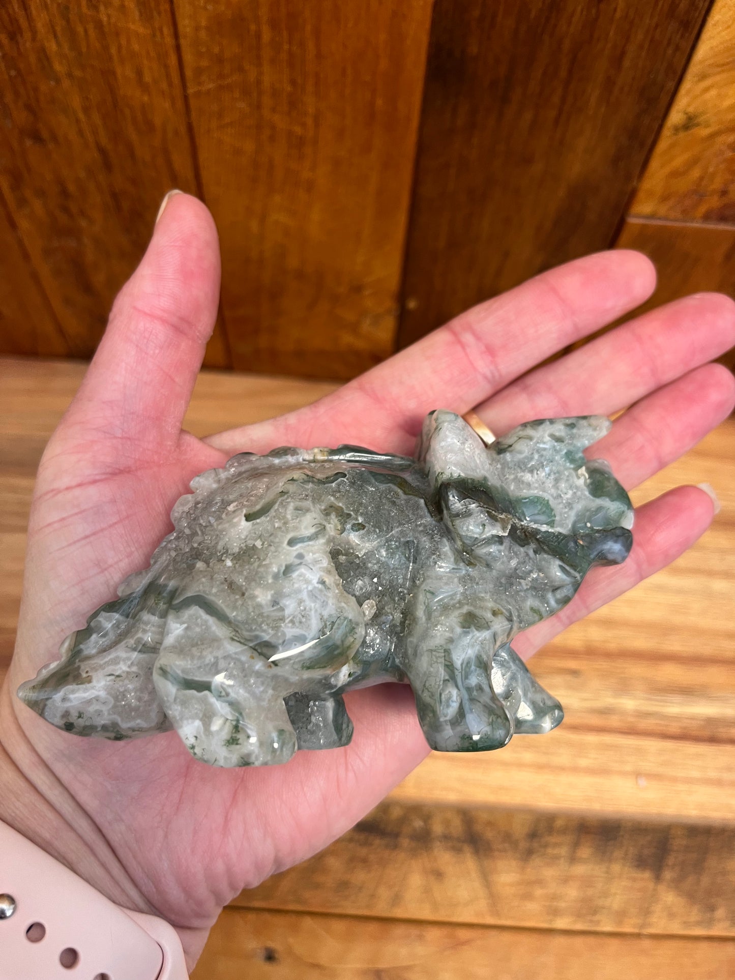 Moss Agate Triceratops (230g)
