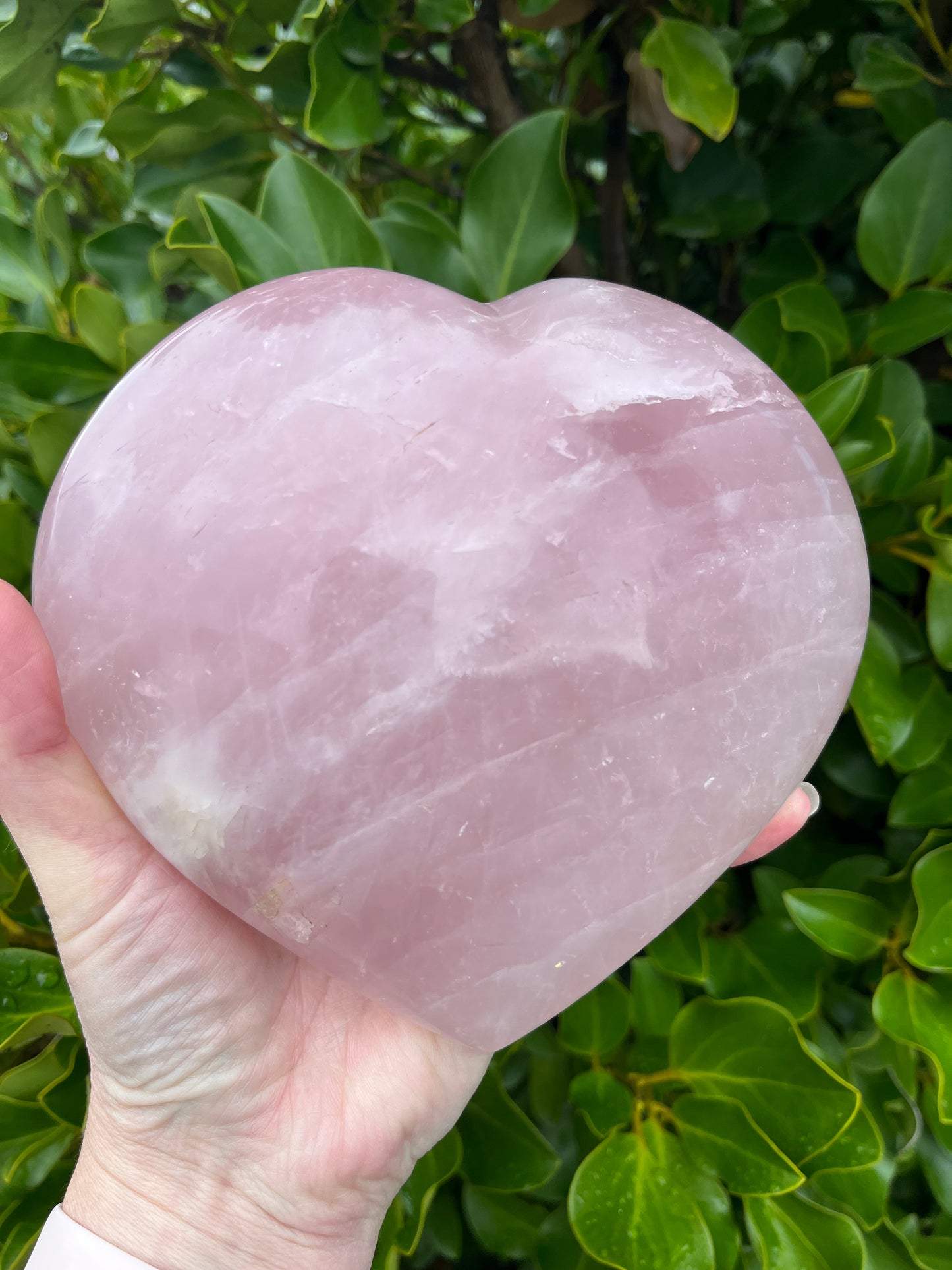 Rose Quartz Heart with Stand (2274g)