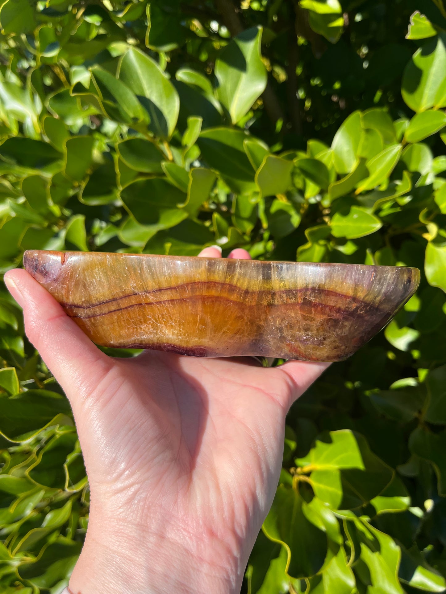 Fluorite Dish (729g)