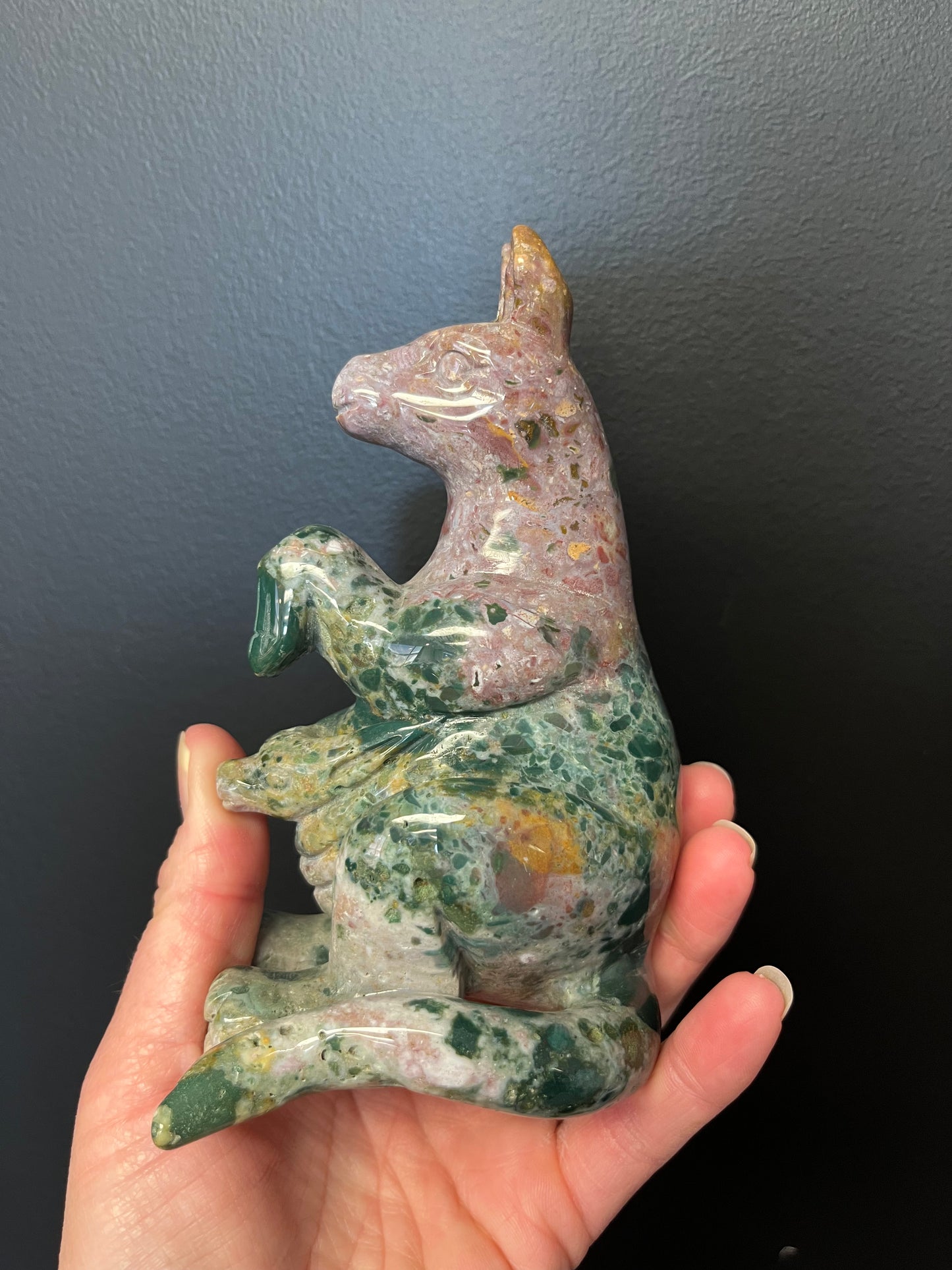 Ocean Jasper Kangaroo (542g)
