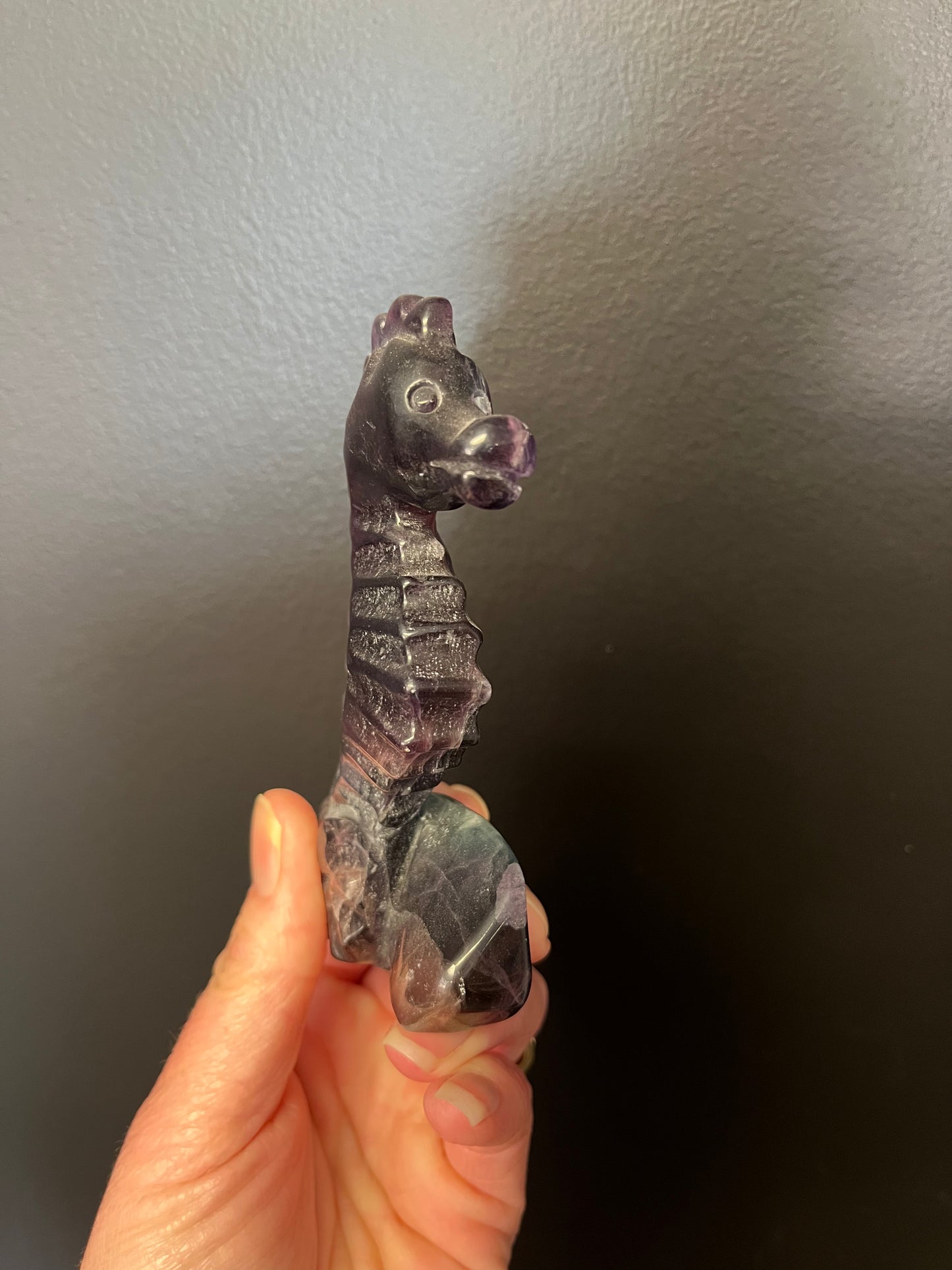 Fluorite Seahorse (168g)