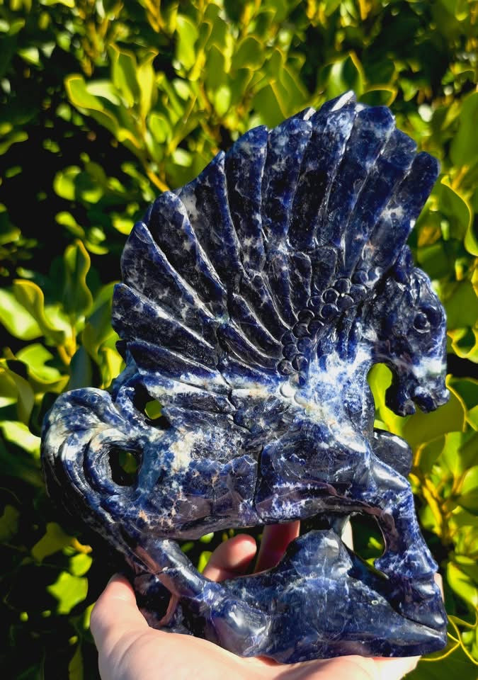 Sodalite Winged Horse (1054g)