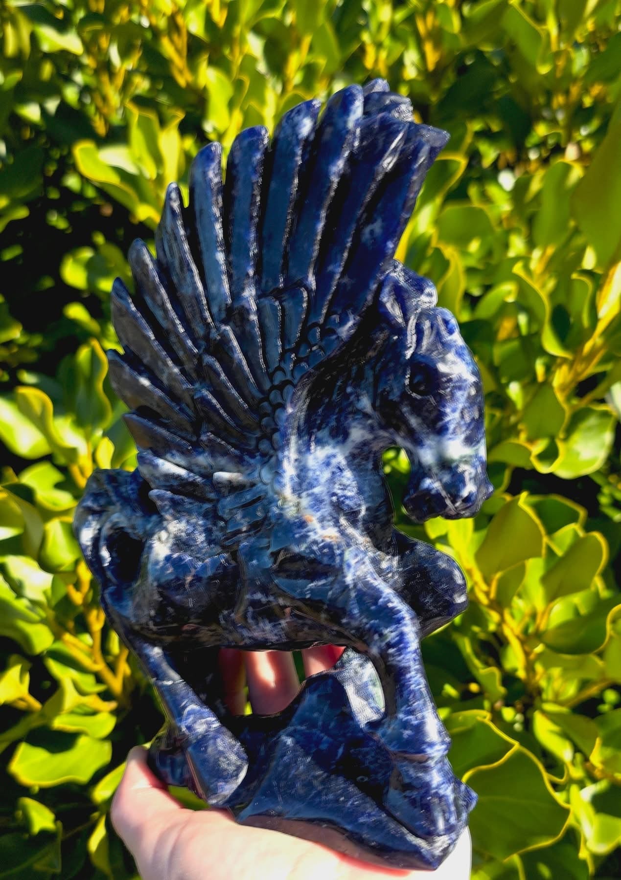 Sodalite Winged Horse (1054g)