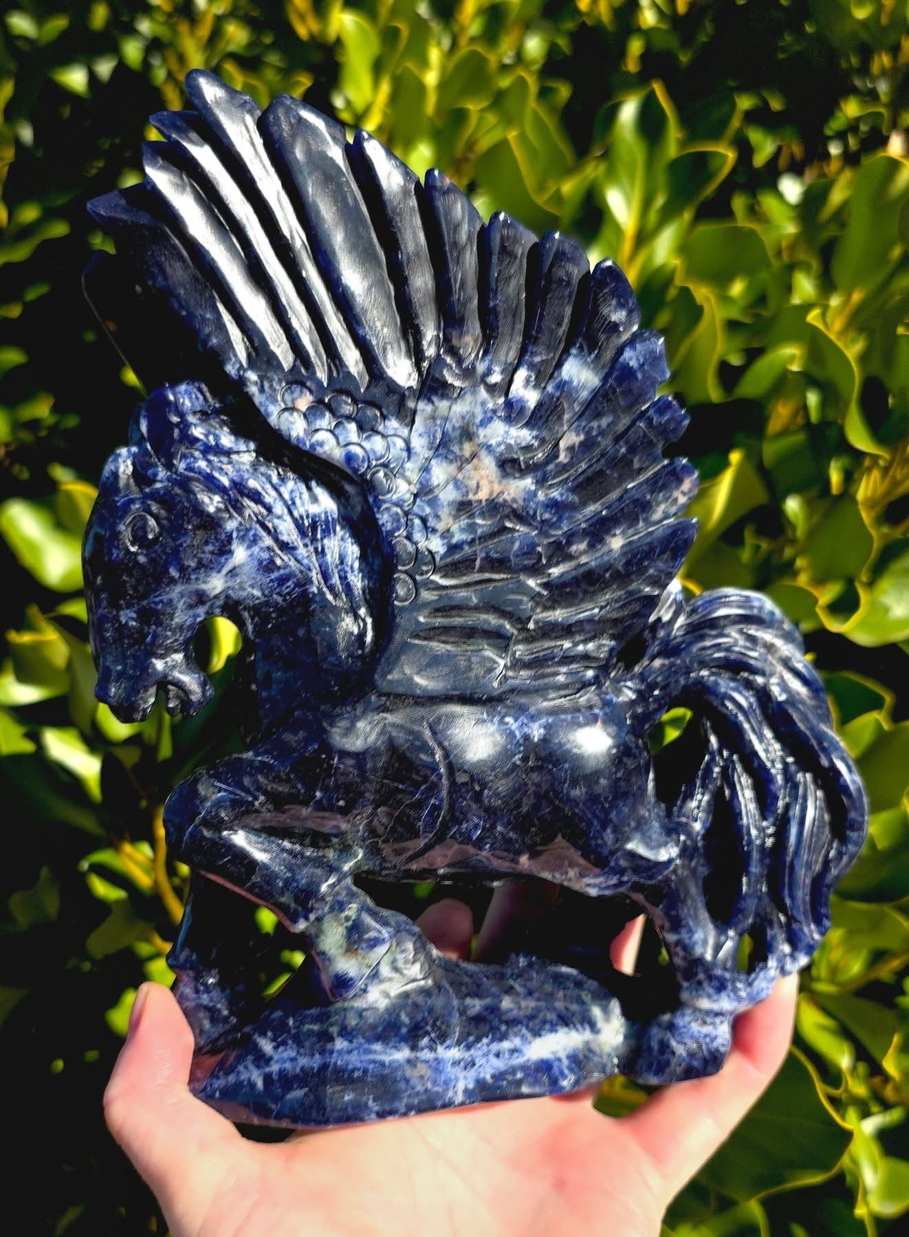 Sodalite Winged Horse (1054g)