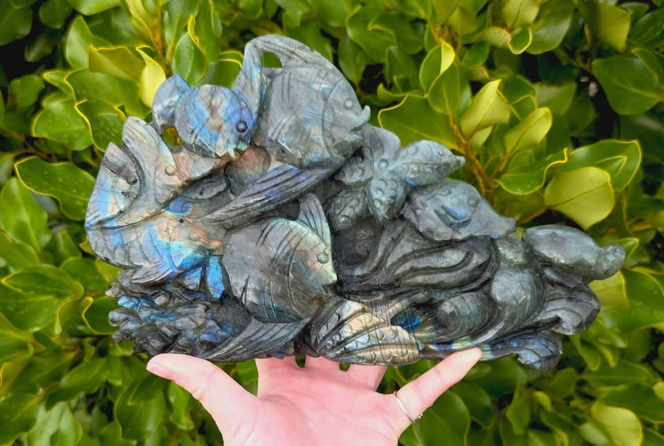Labradorite Fish (1461g)
