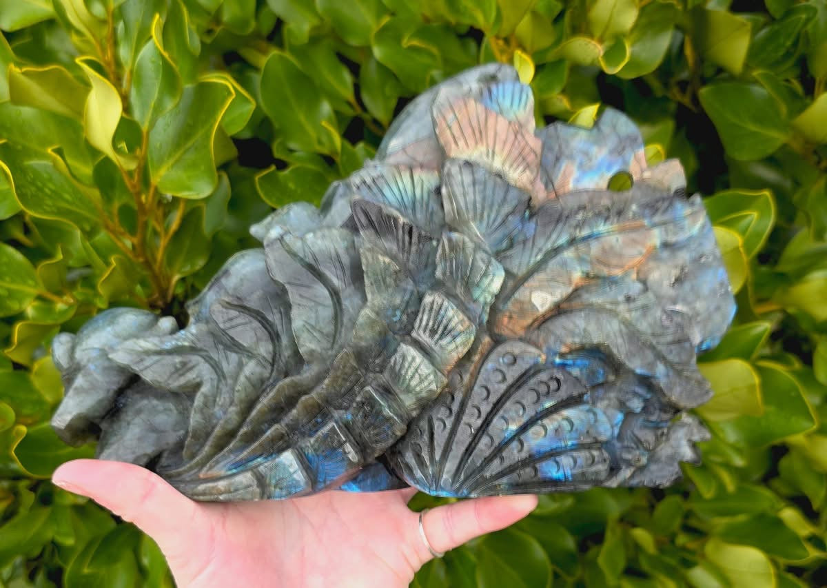Labradorite Fish (1461g)