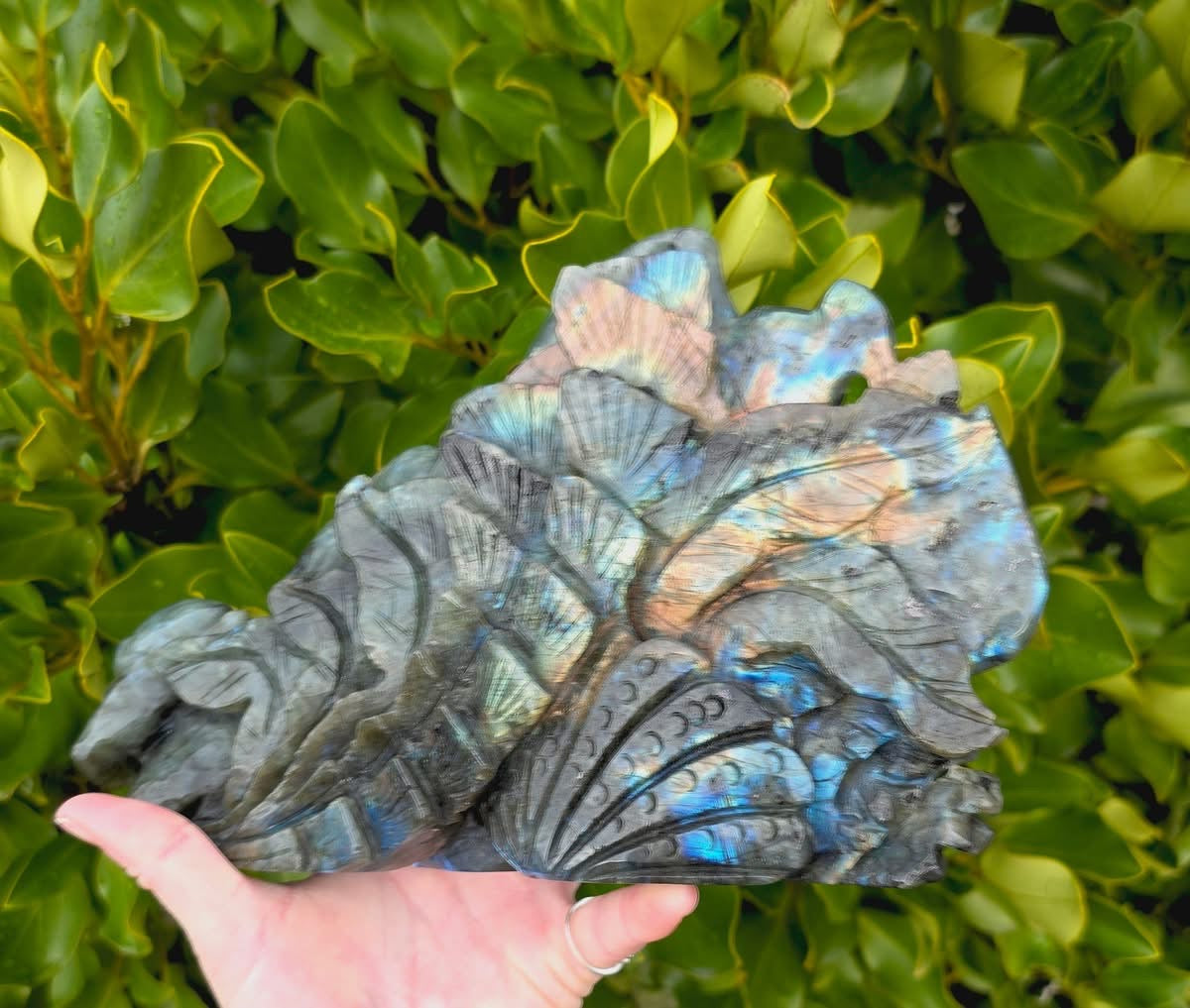 Labradorite Fish (1461g)