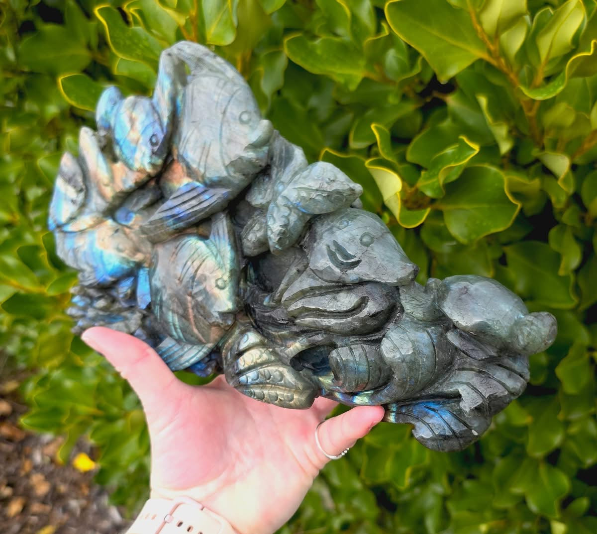Labradorite Fish (1461g)