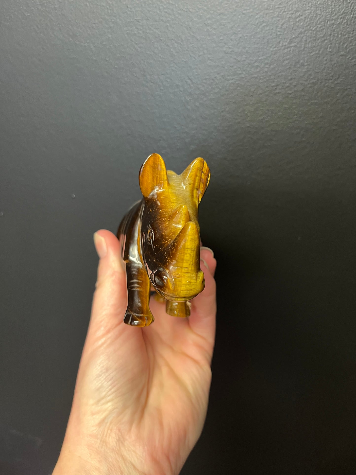 Tigers Eye Rhinoceros (398g)
