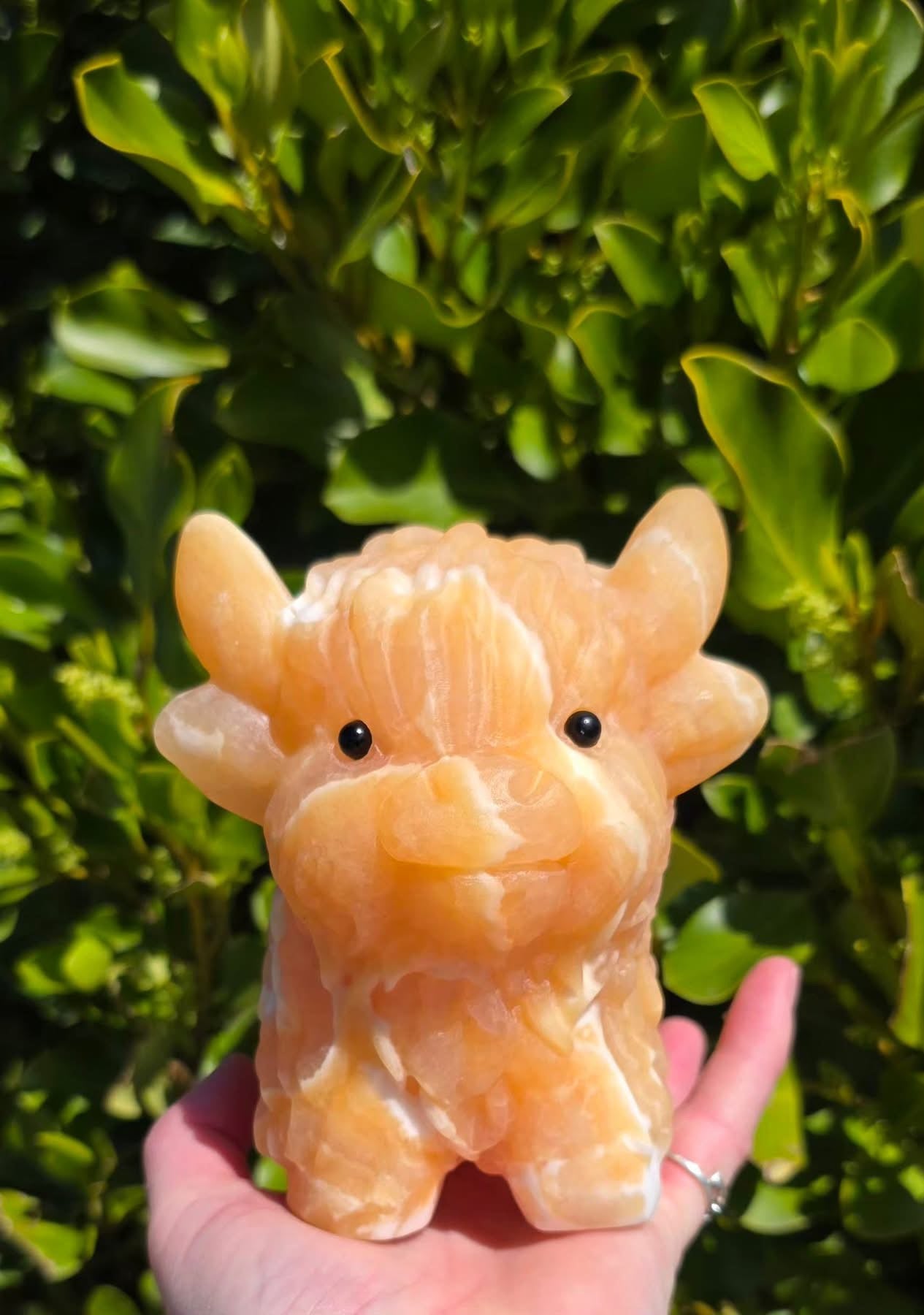 Orange Calcite Highland Cow (1744g)
