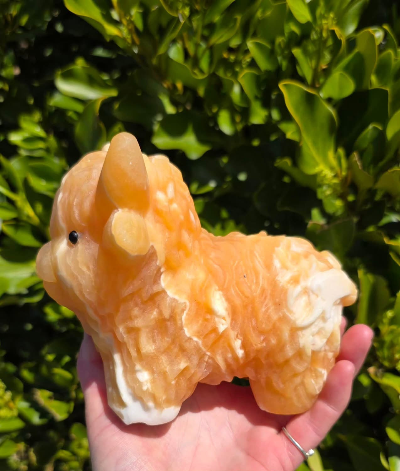 Orange Calcite Highland Cow (1744g)