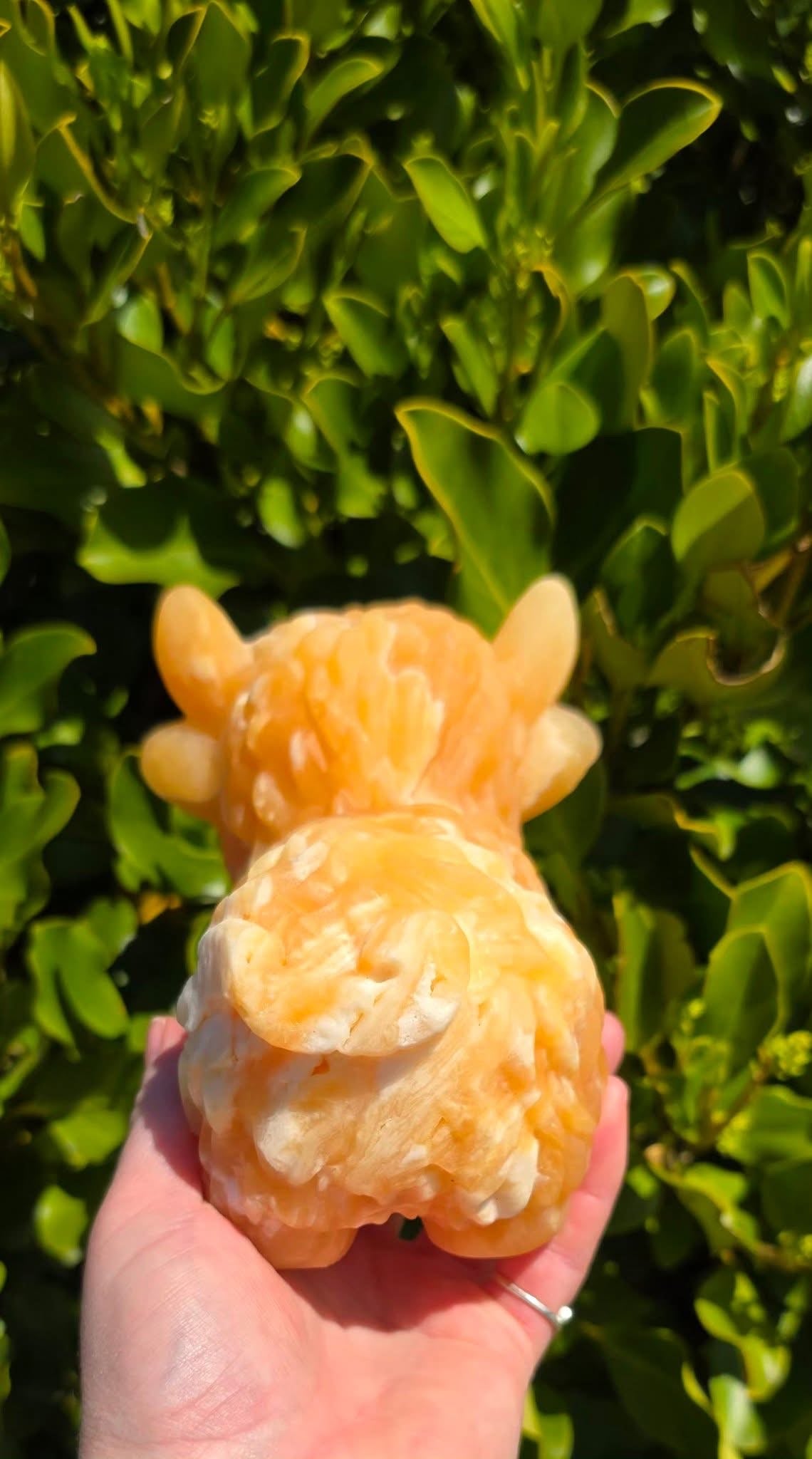 Orange Calcite Highland Cow (1744g)