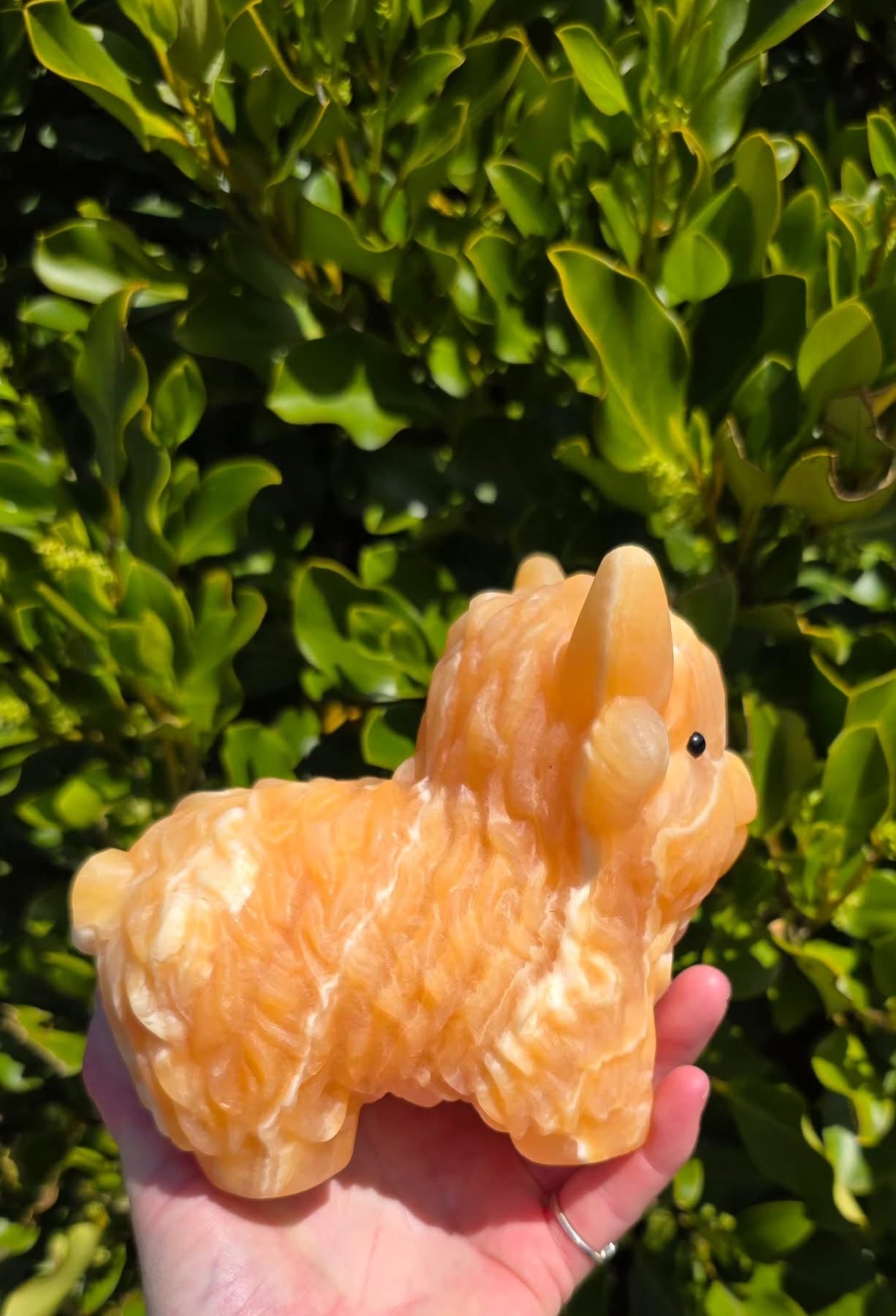Orange Calcite Highland Cow (1744g)