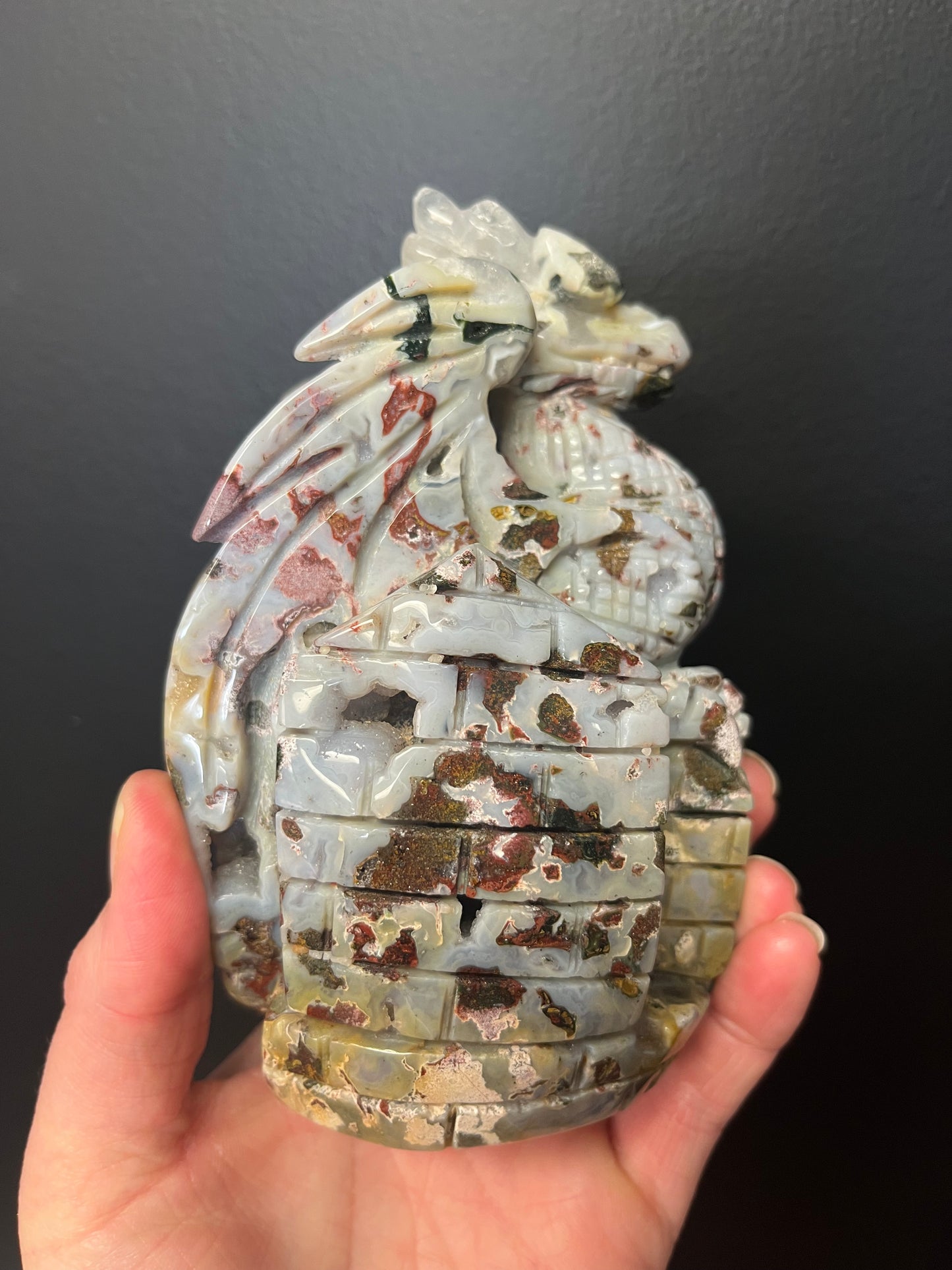 Ocean Jasper Dragon (601g)