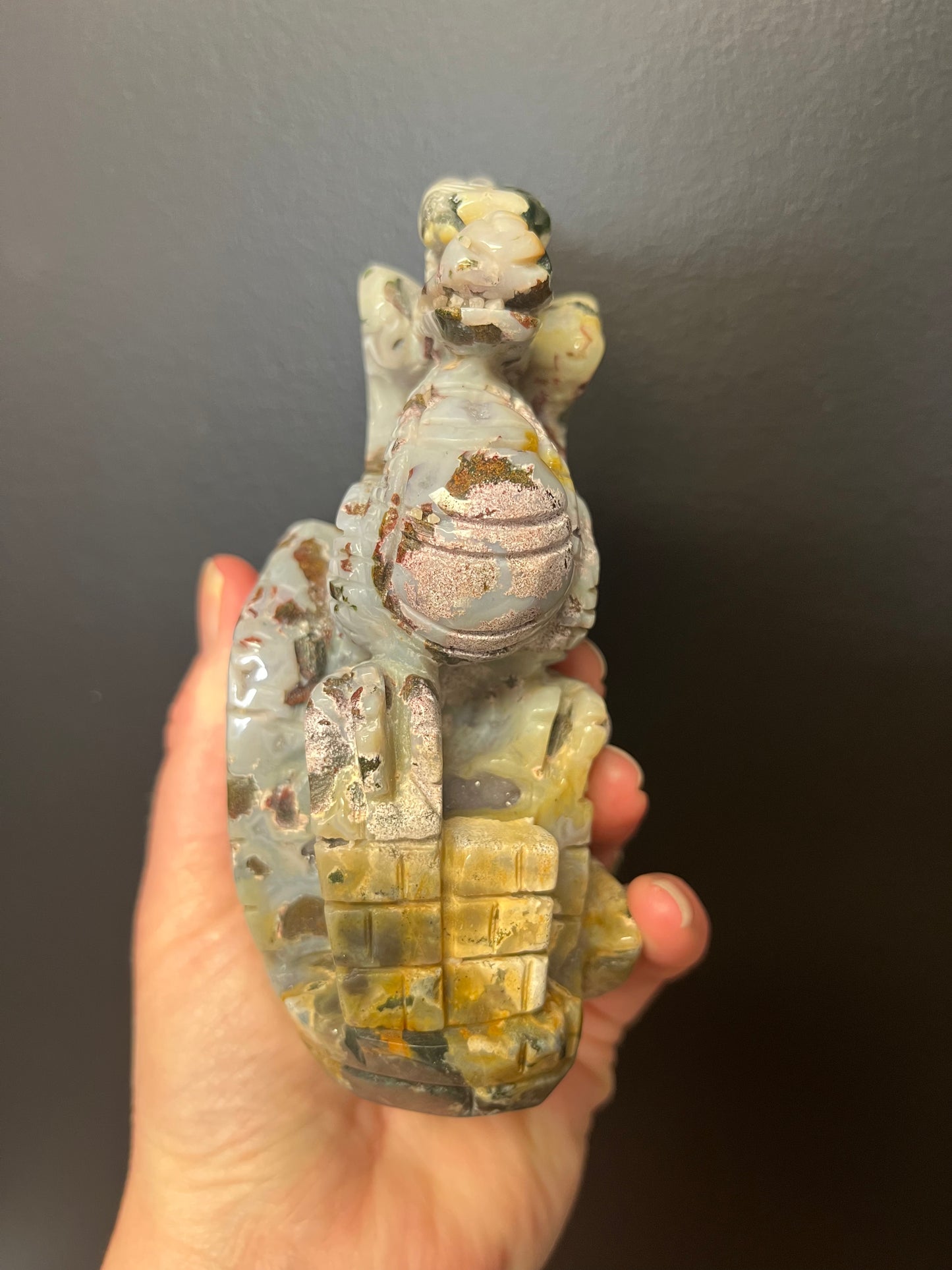 Ocean Jasper Dragon (601g)