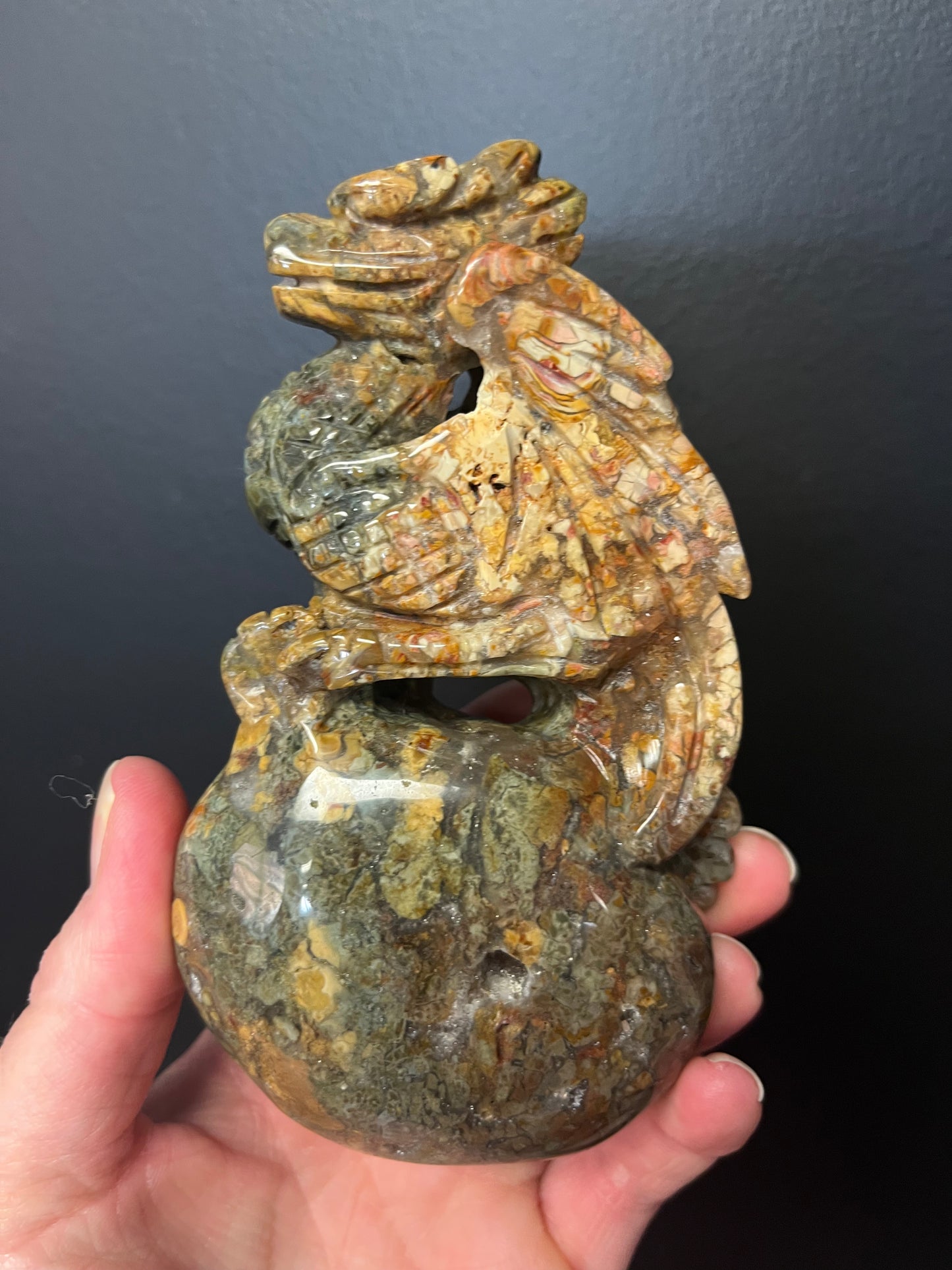 Ocean Jasper Dragon (404g)