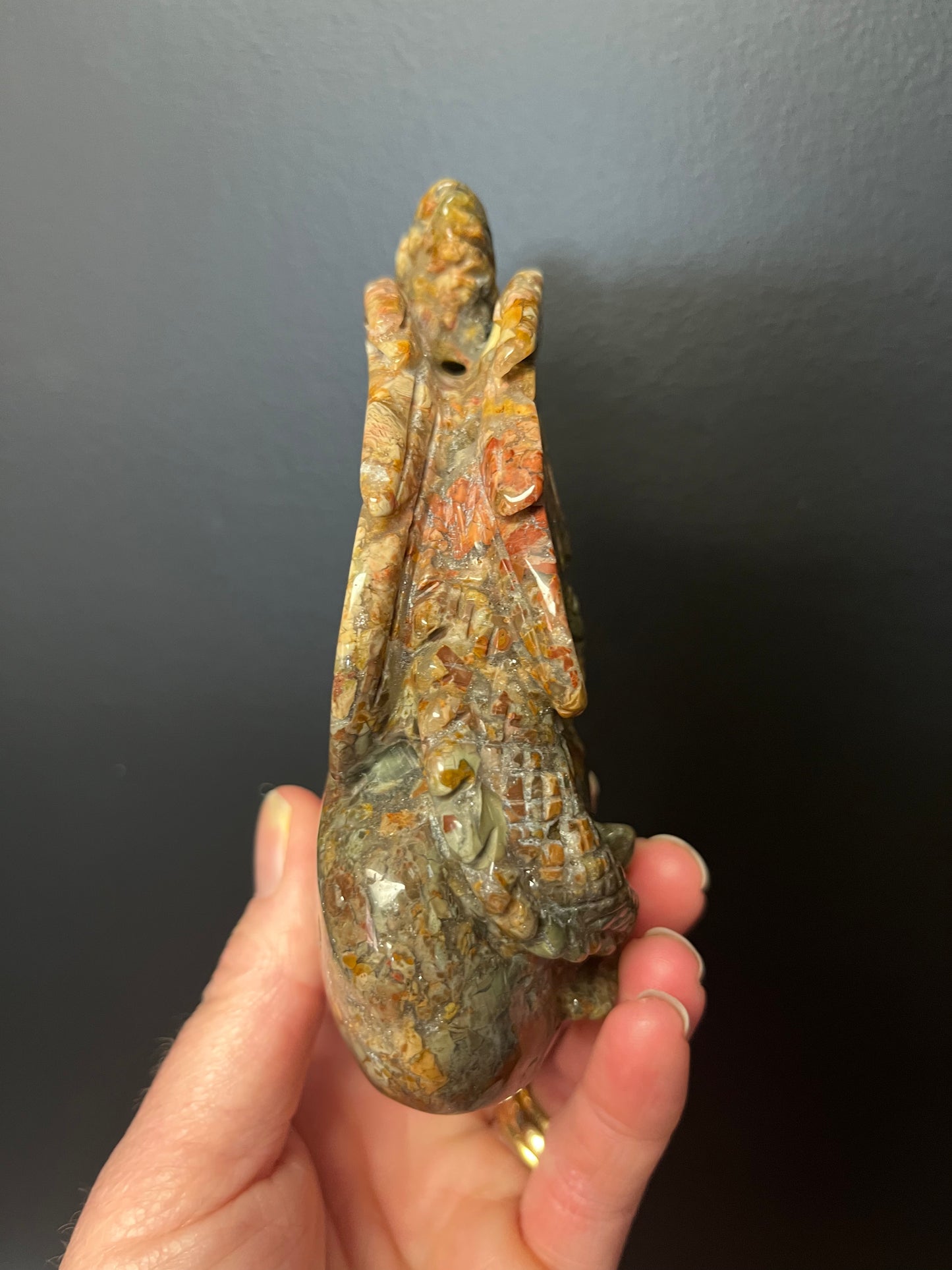 Ocean Jasper Dragon (404g)