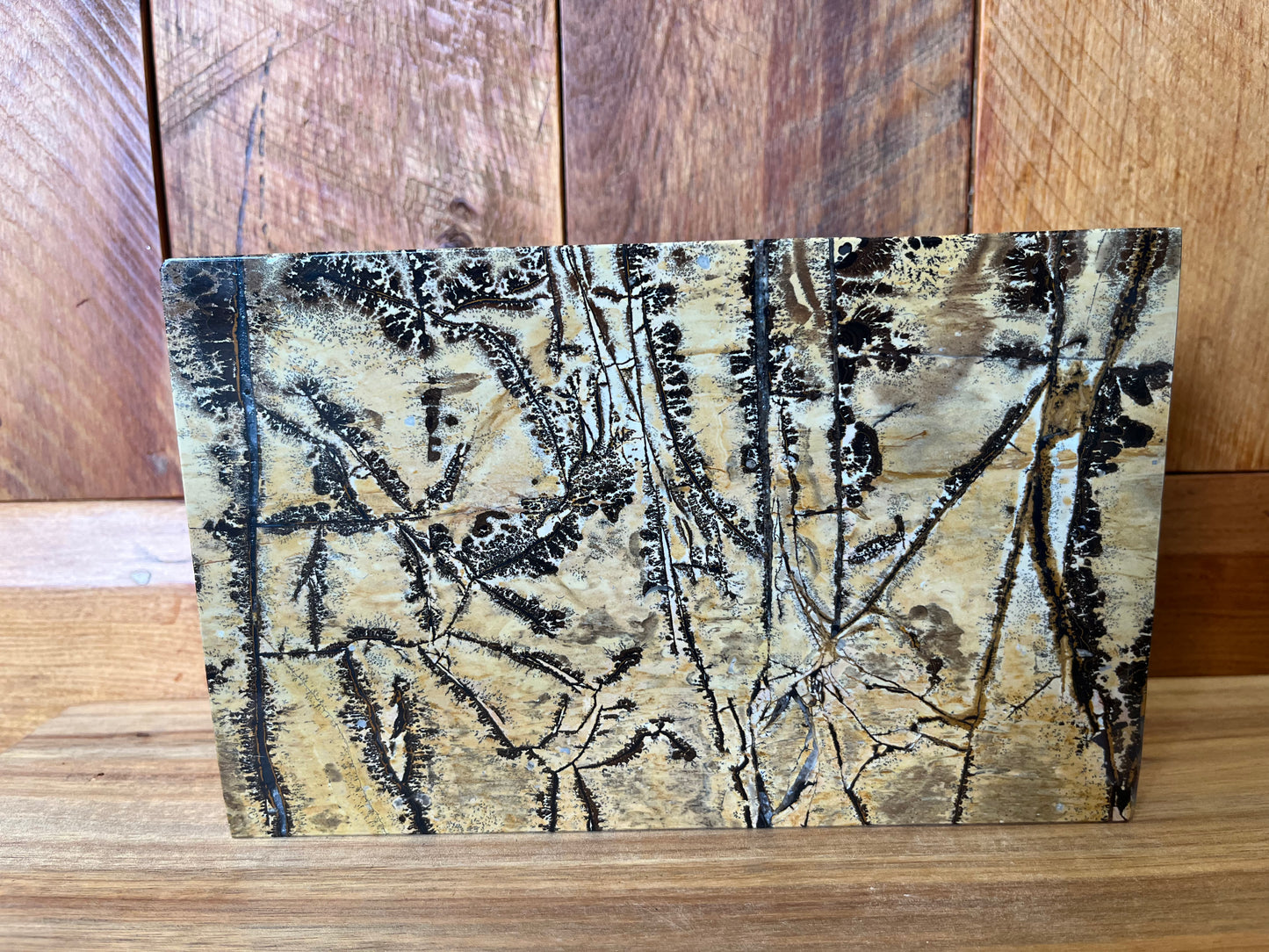 Picture Jasper Book (1117g)
