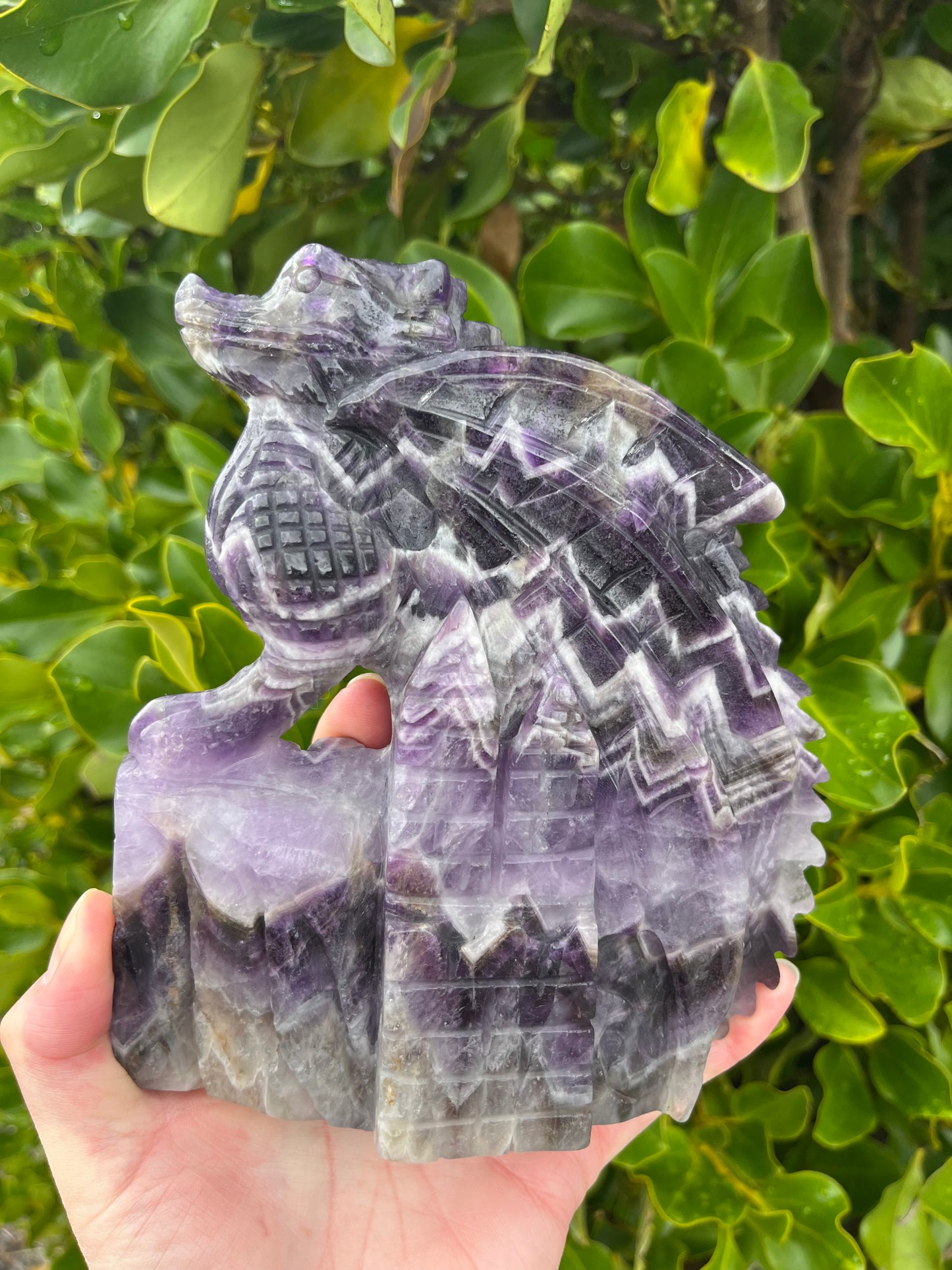 Chevron Amethyst Dragon (1100g)