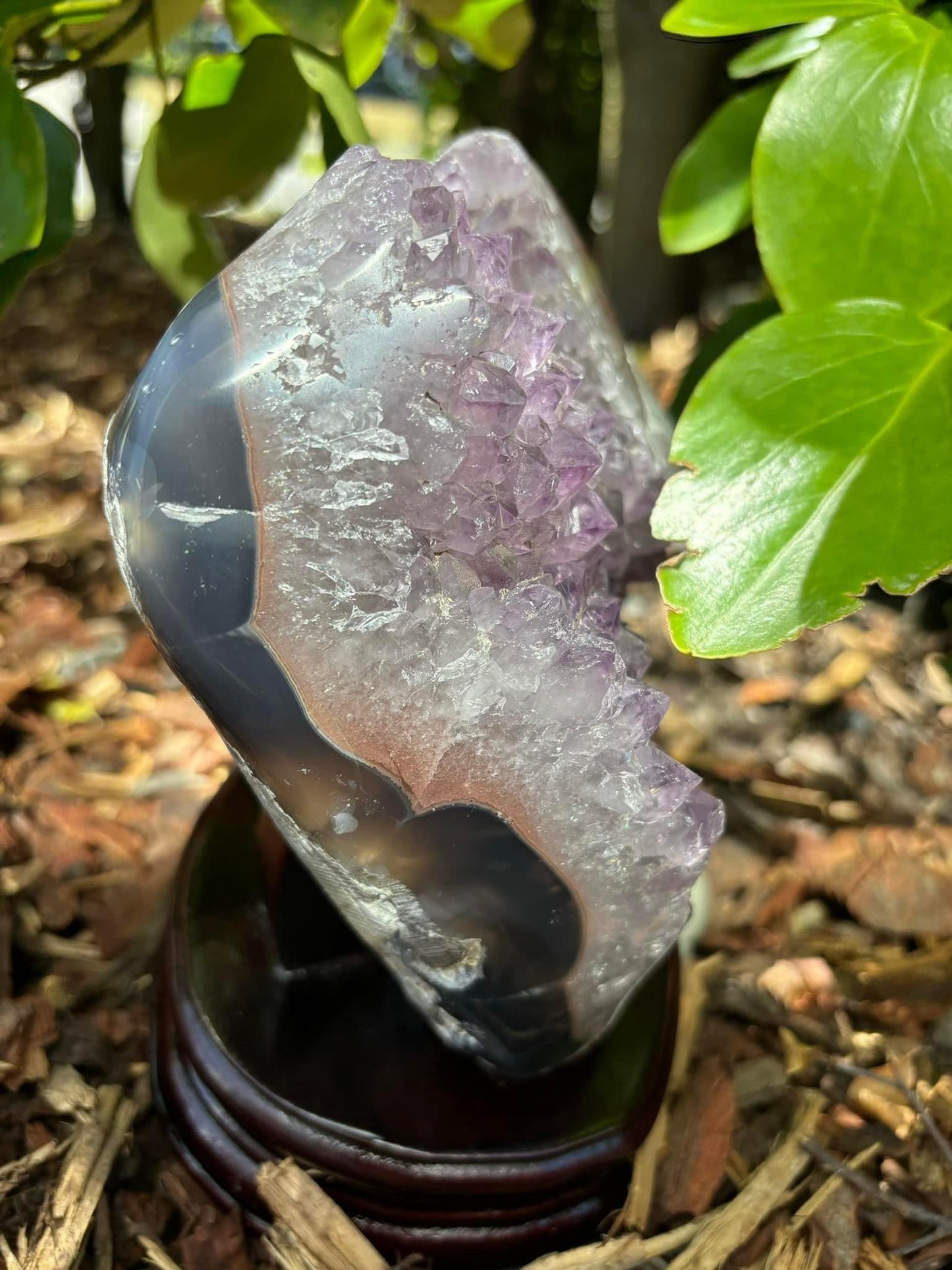 Amethyst Cluster Freeform (3.4kg)