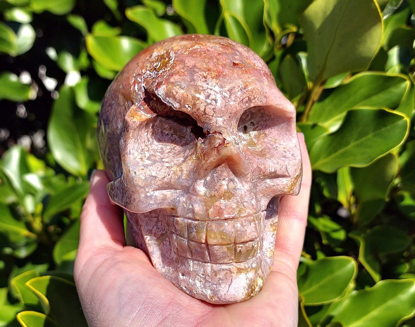 Pink Agate Skull (1039g)