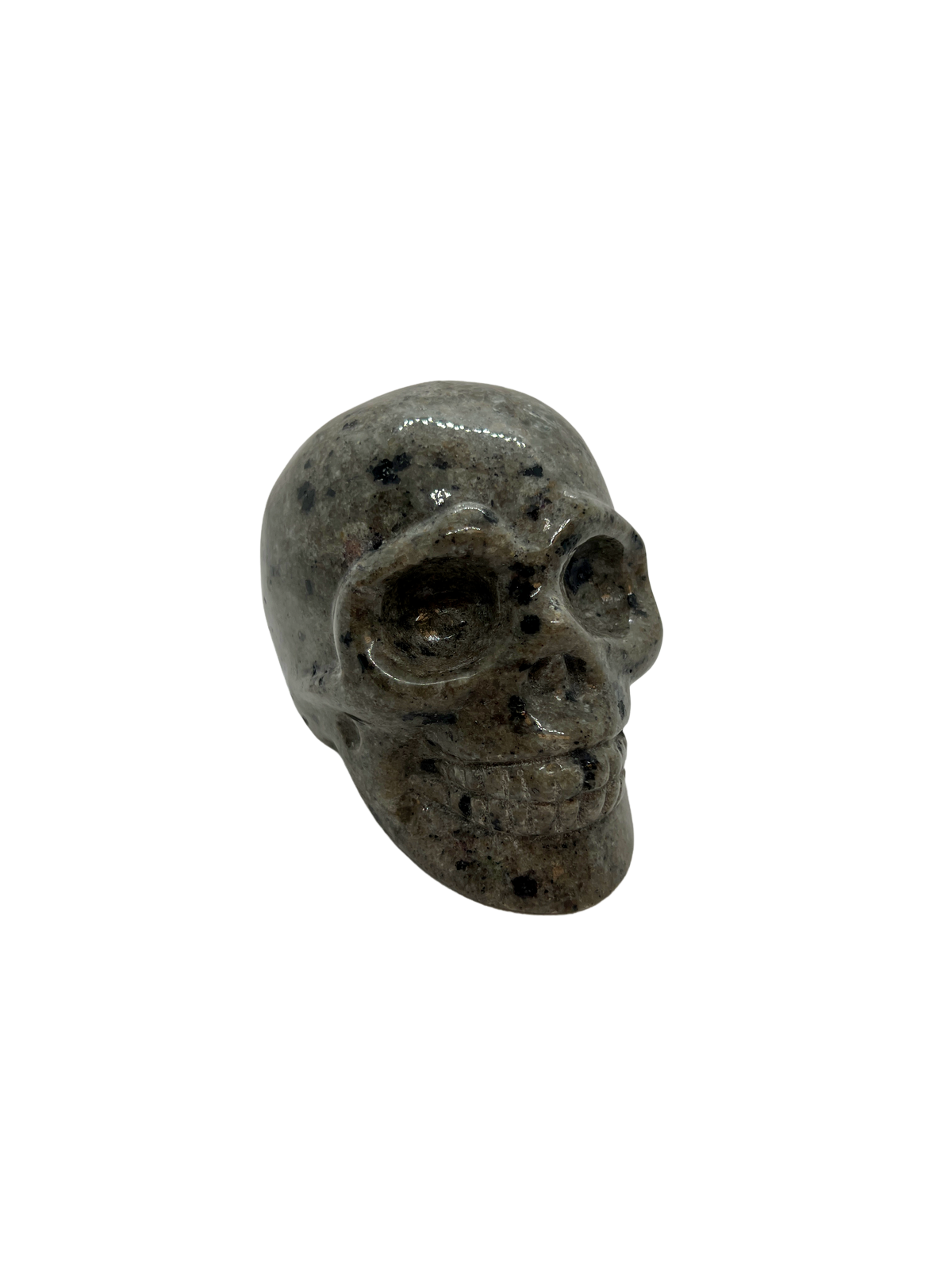 Yooperlite Skull (1.2kg)