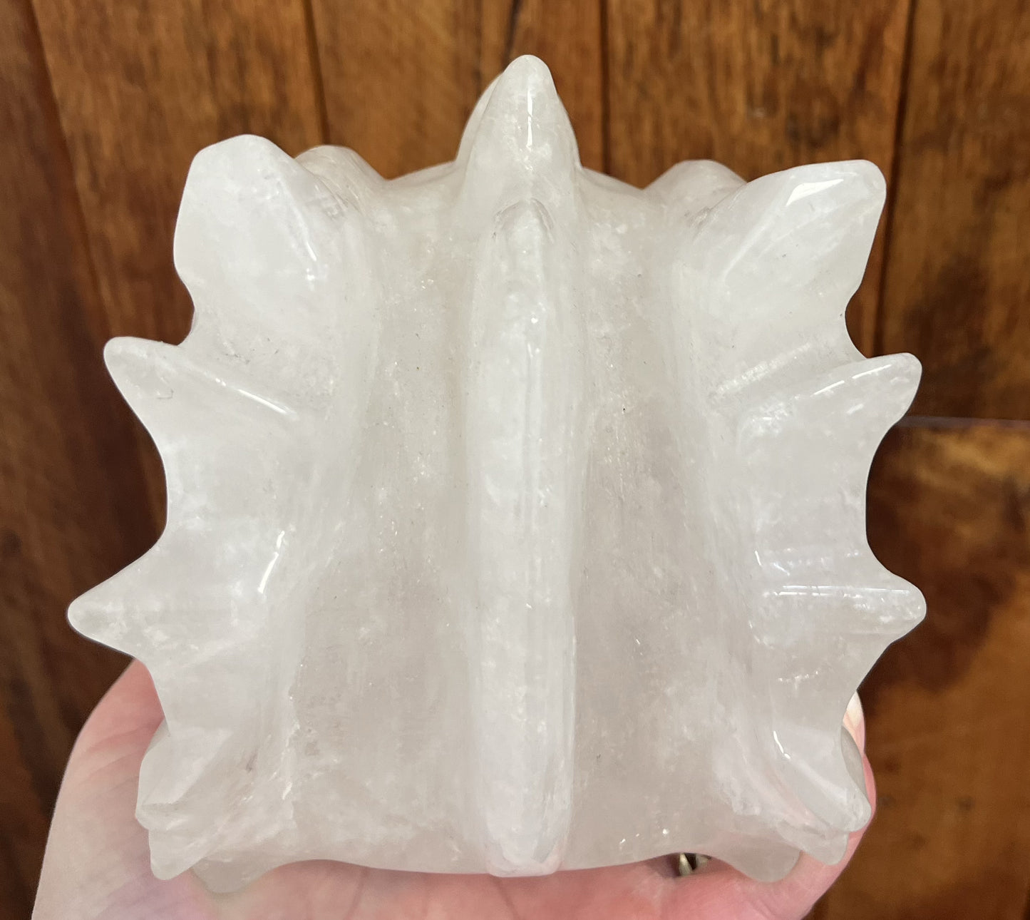 Clear Quartz Dragon Head (2.08kgs)