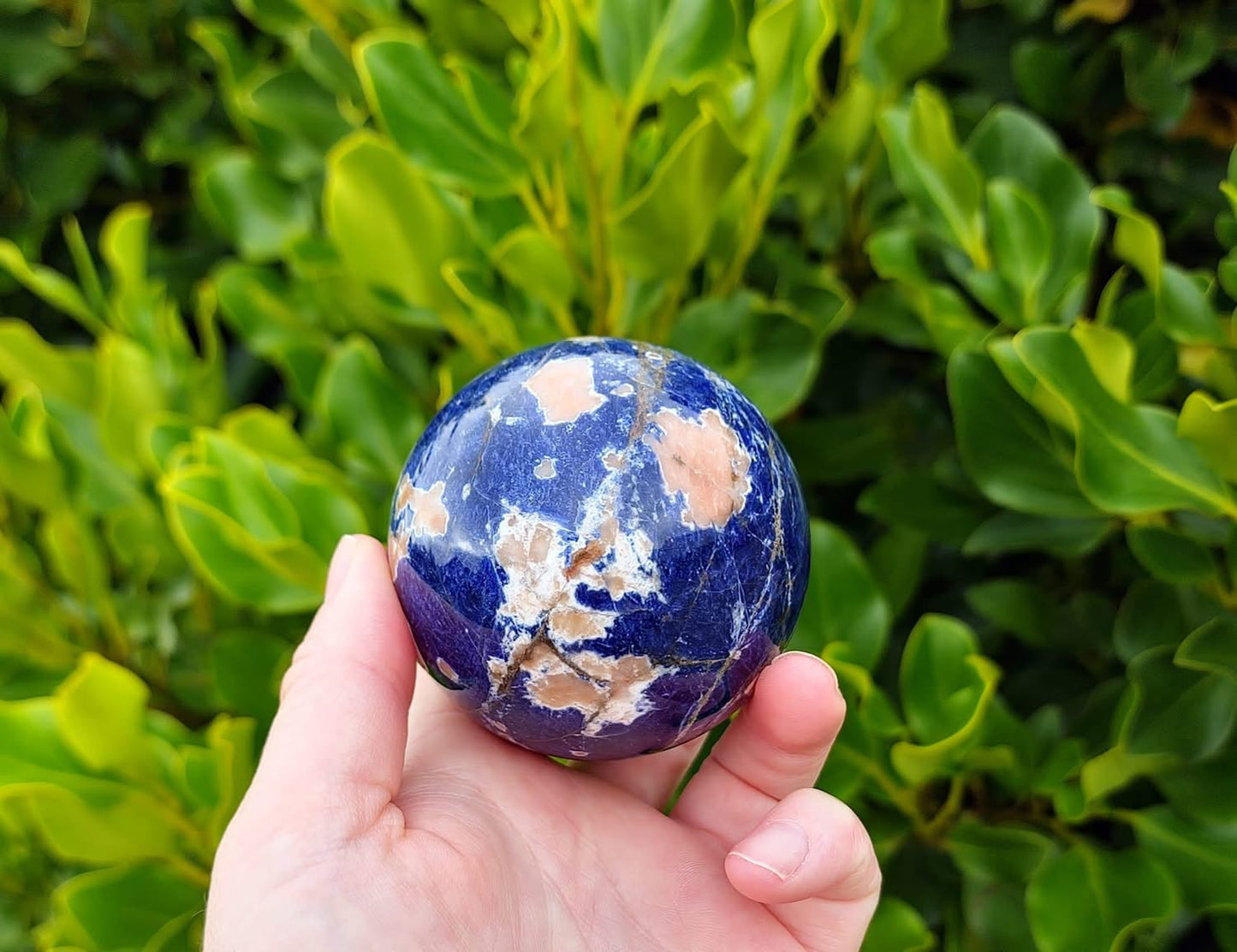 Sodalite Sphere (321g)