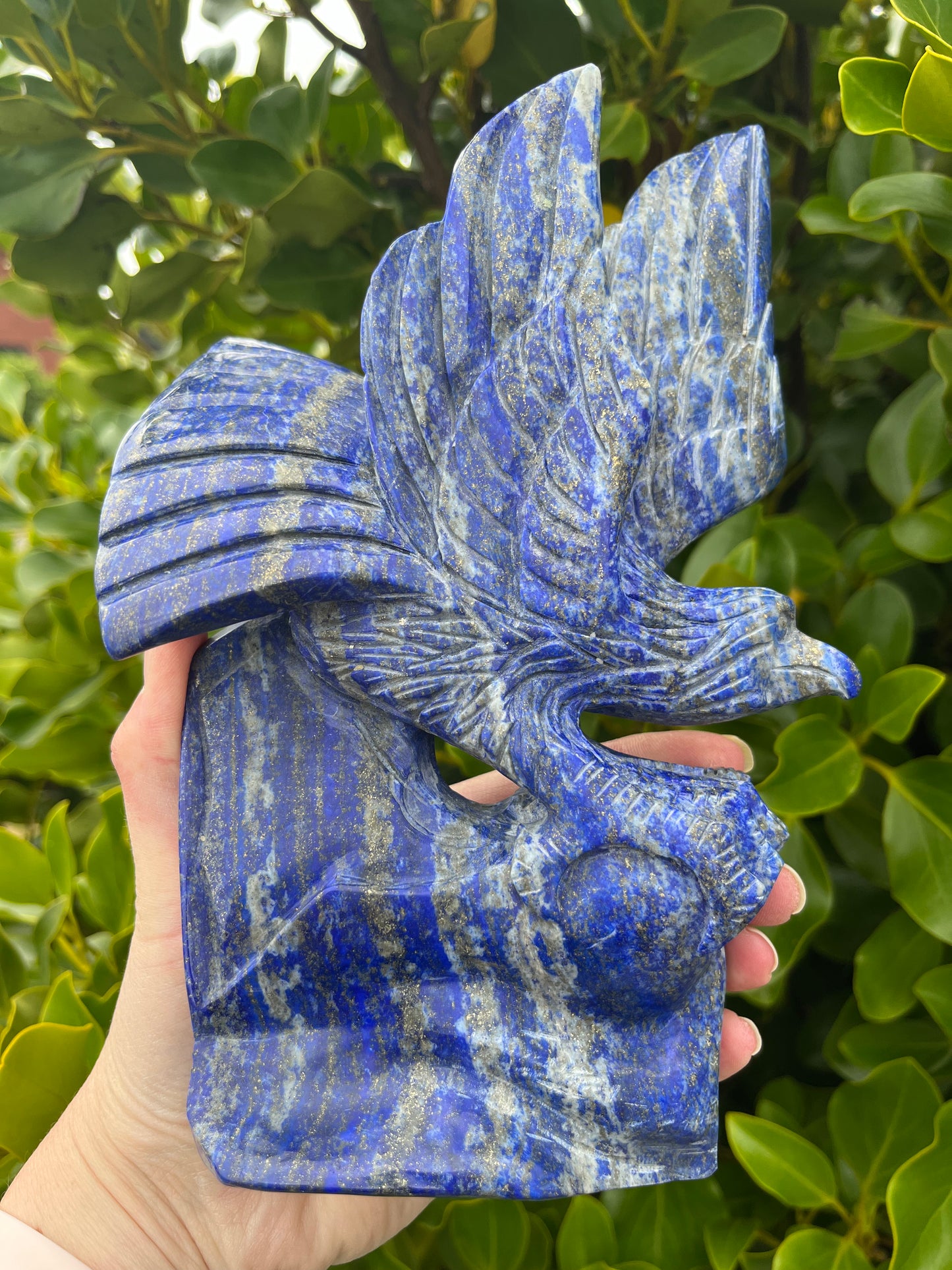 Lapis Lazuli Eagle (1475g)