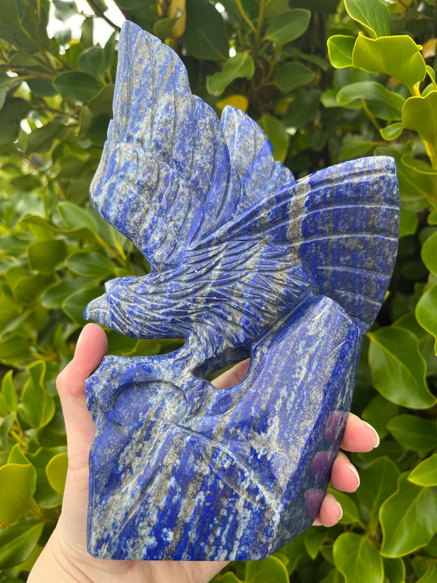 Lapis Lazuli Eagle (1475g)