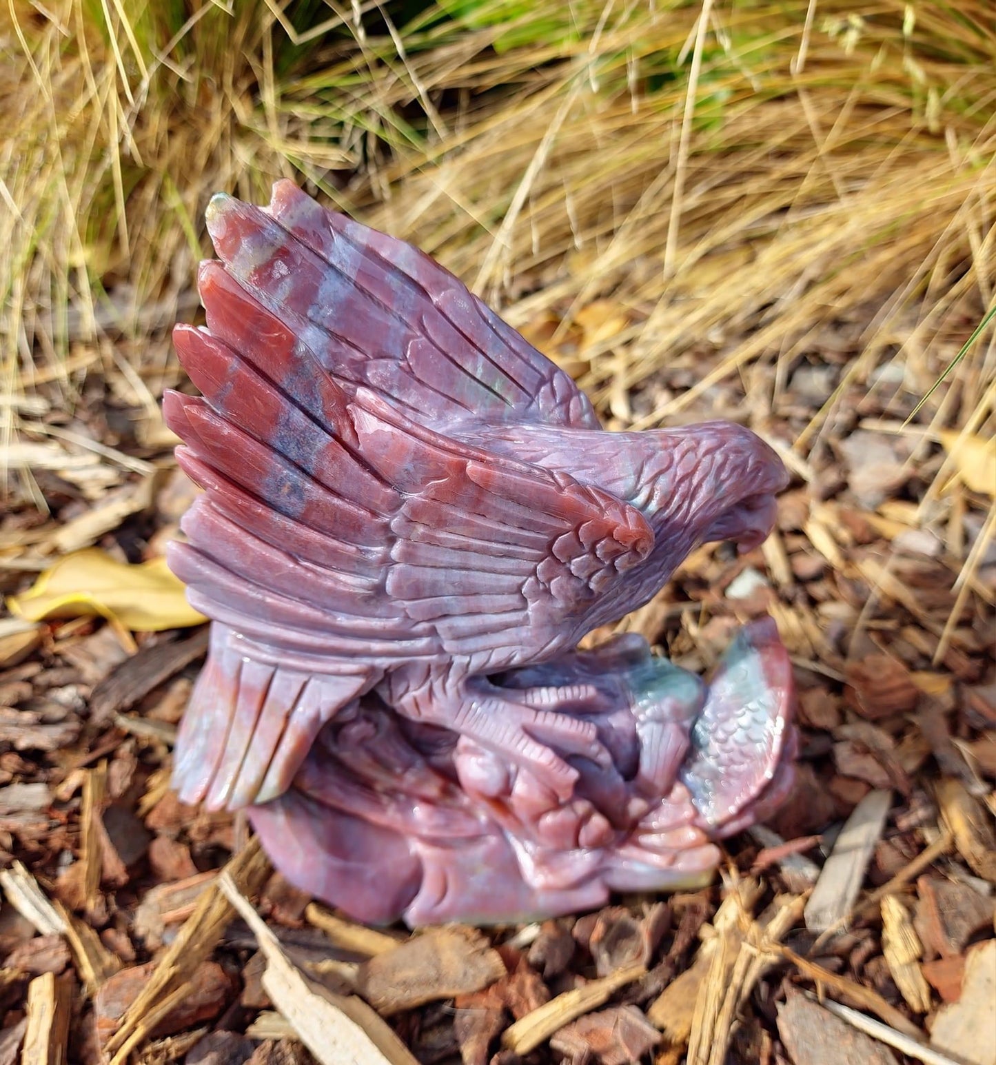 Ocean Jasper Eagle (1153g)