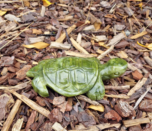 Jade Turtle (587g)