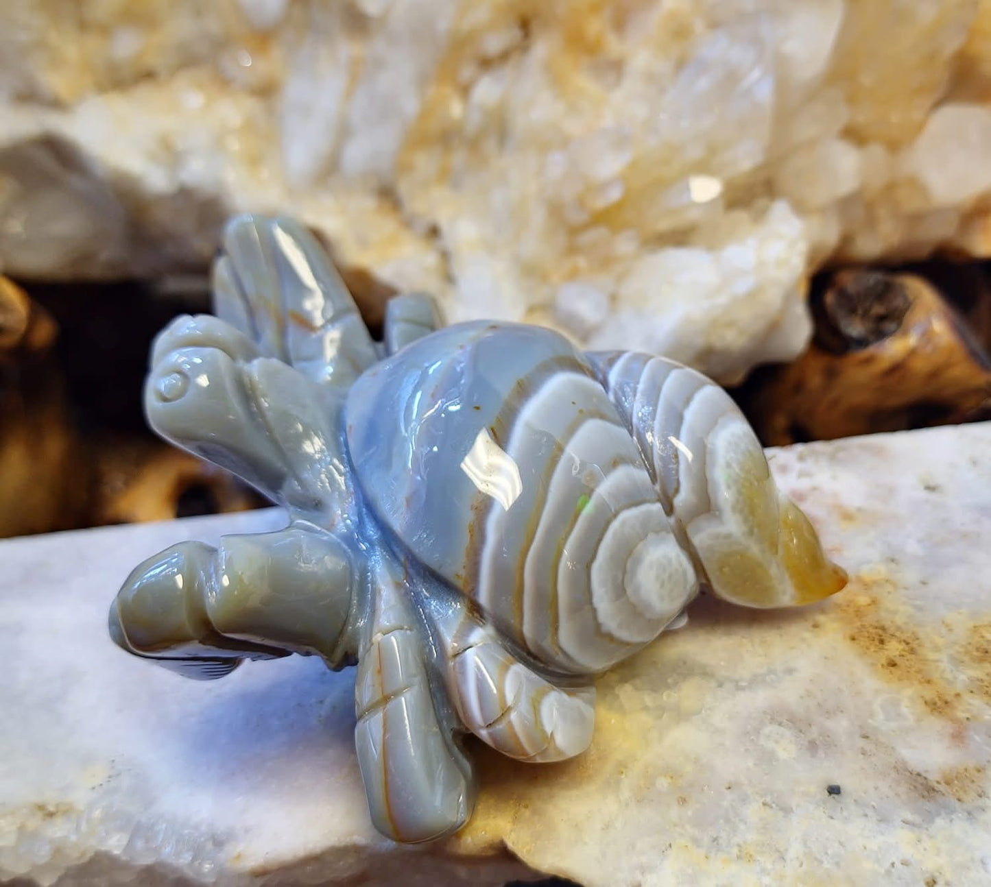 Agate Crab (262g)