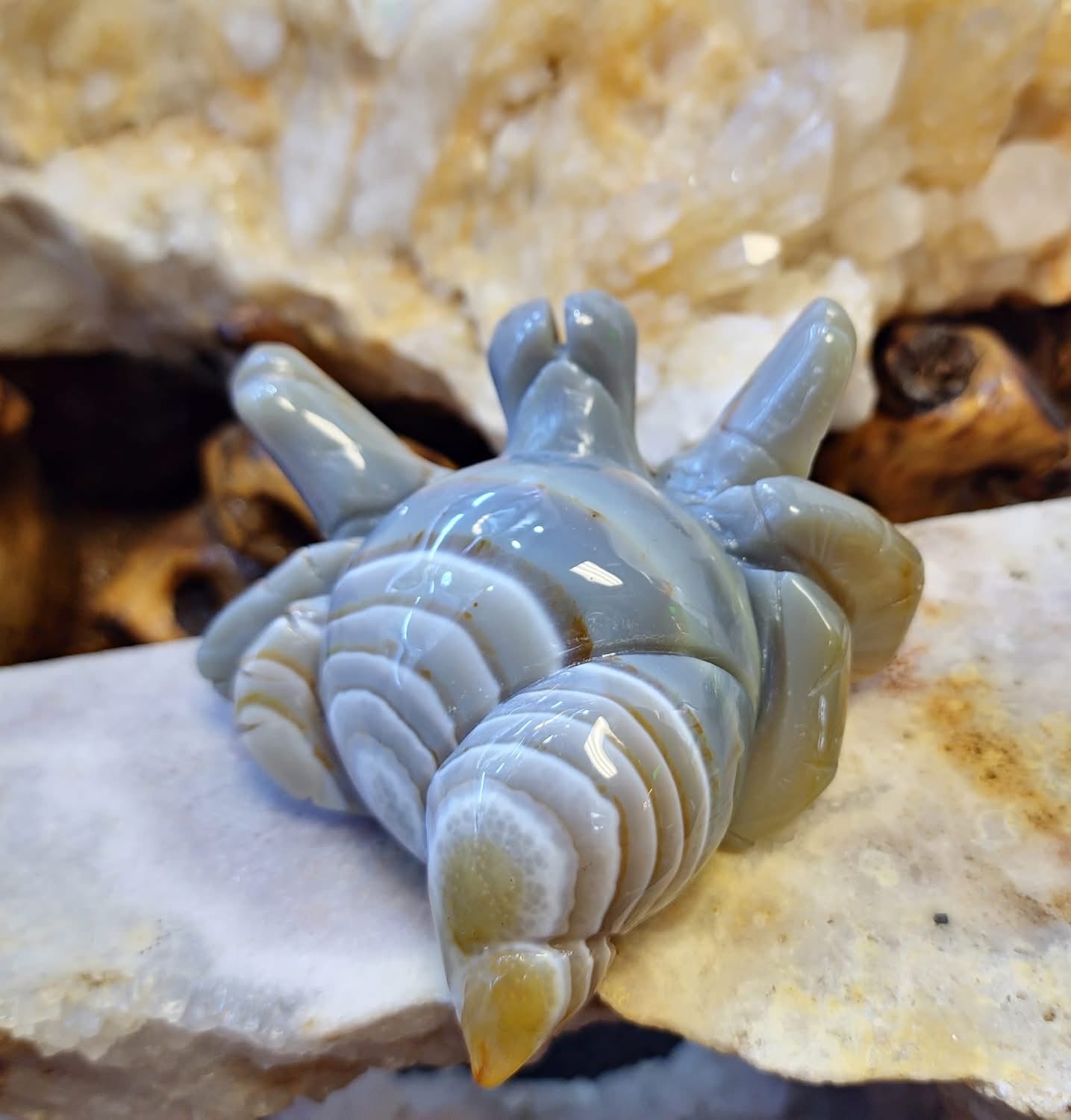 Agate Crab (262g)