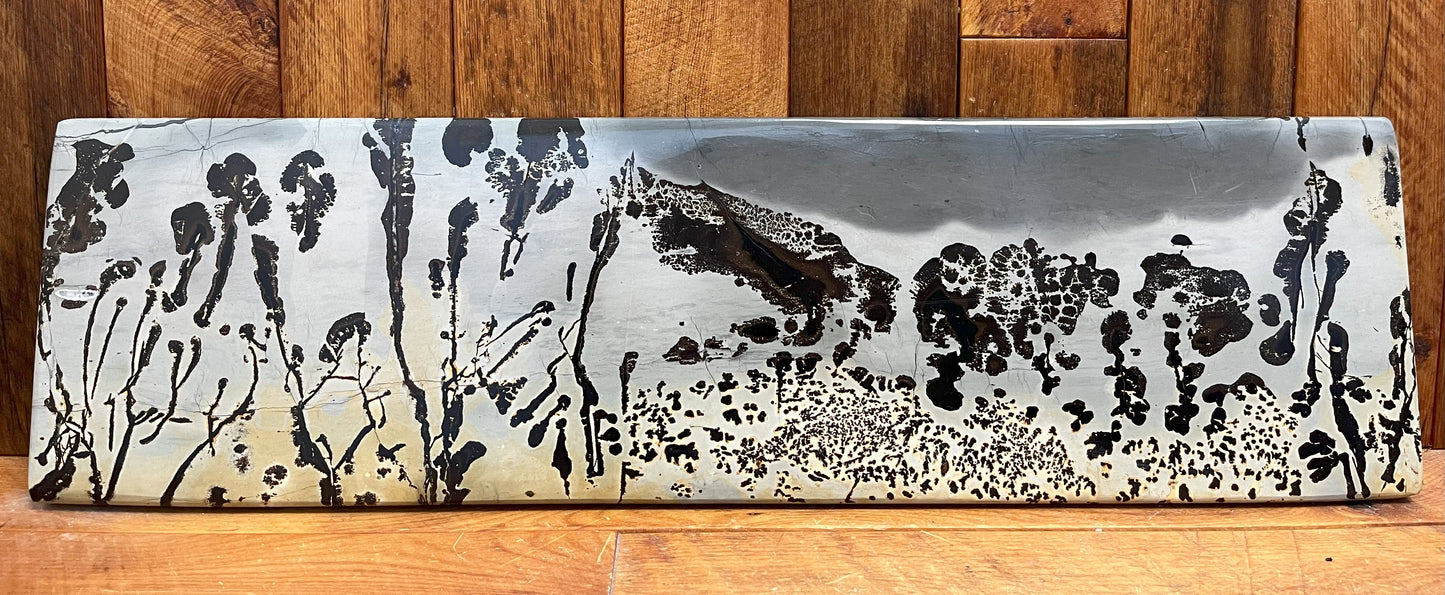 Picture Jasper Landscape (3.3kgs)