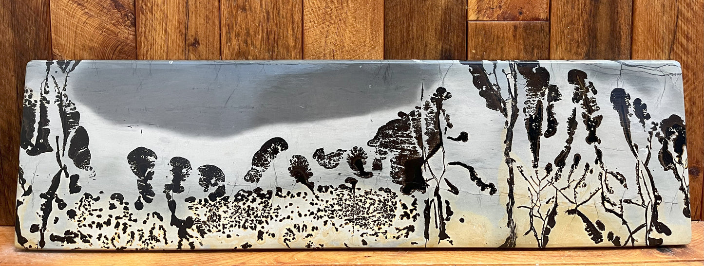 Picture Jasper Landscape (3.3kgs)