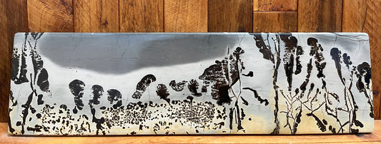 Picture Jasper Landscape (3.3kgs)